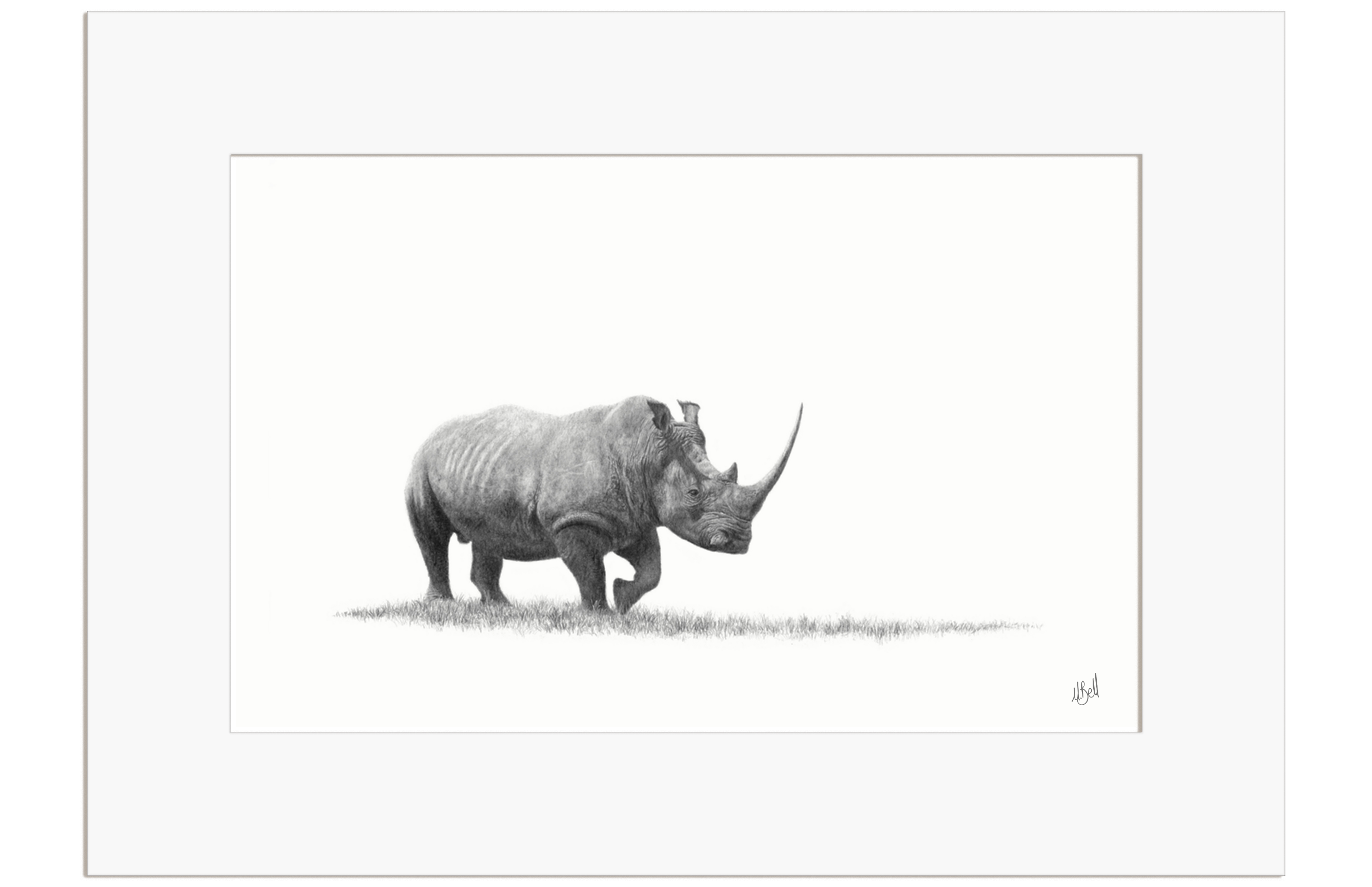 White Rhino - WR2