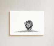 White Rhino drawing on canvas by South African wildlife artist Matthew Bell