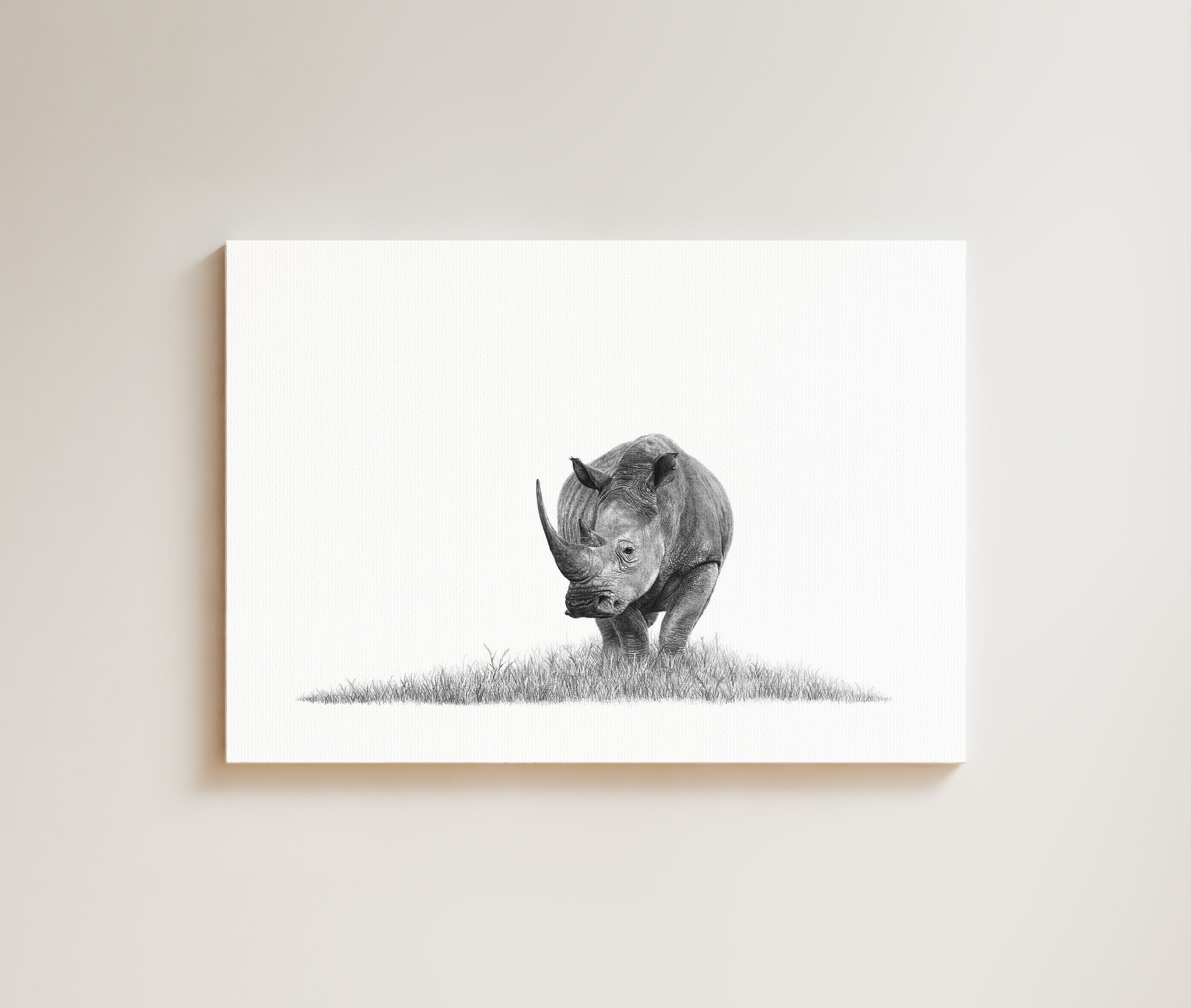 White Rhino drawing on canvas by South African wildlife artist Matthew Bell