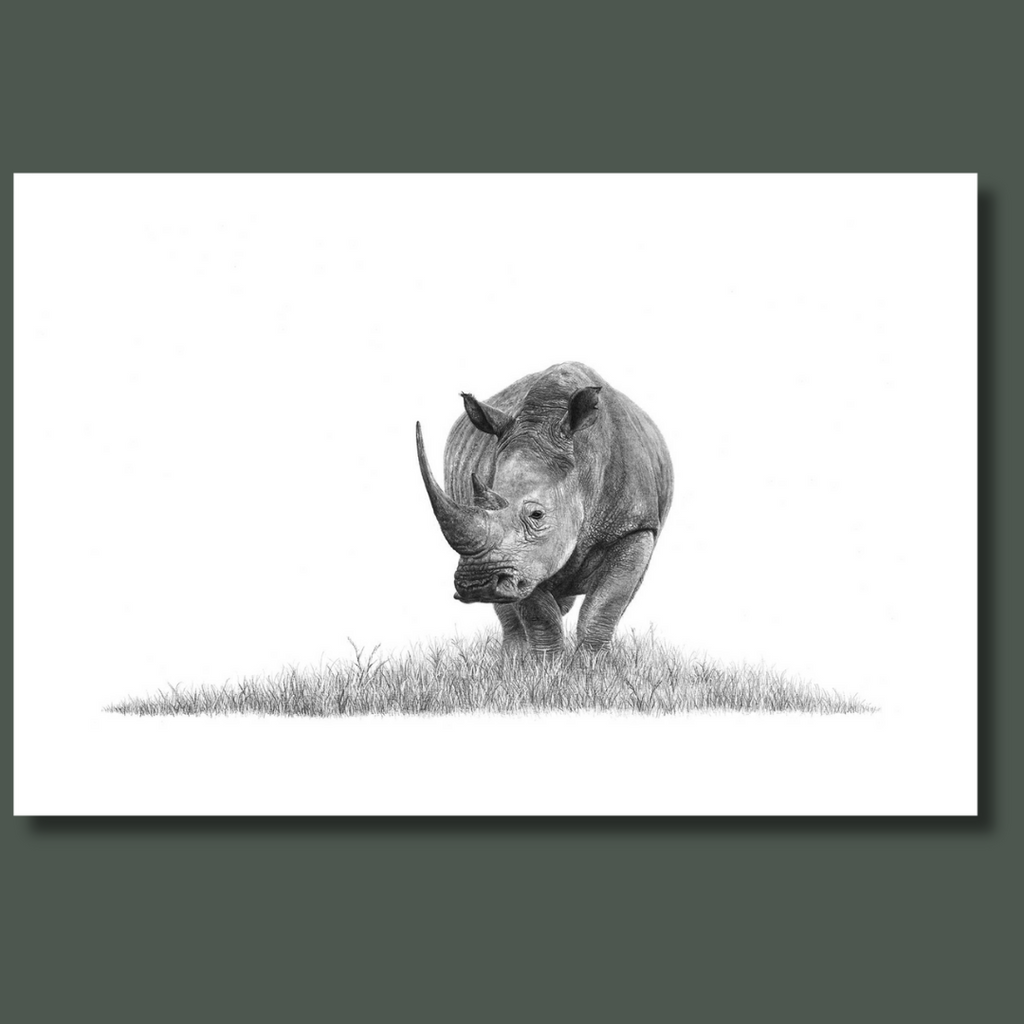 African white rhino wildlife artwork on canvas