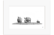 White Rhino Family - WR4