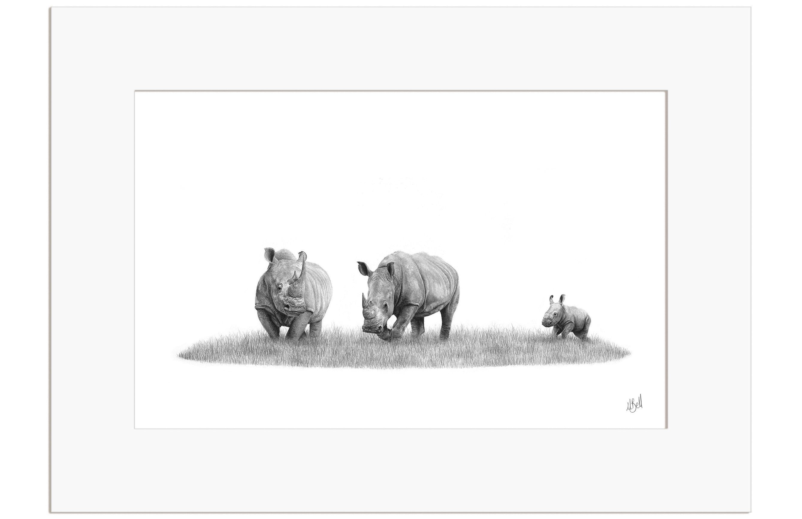 White Rhino Family - WR4