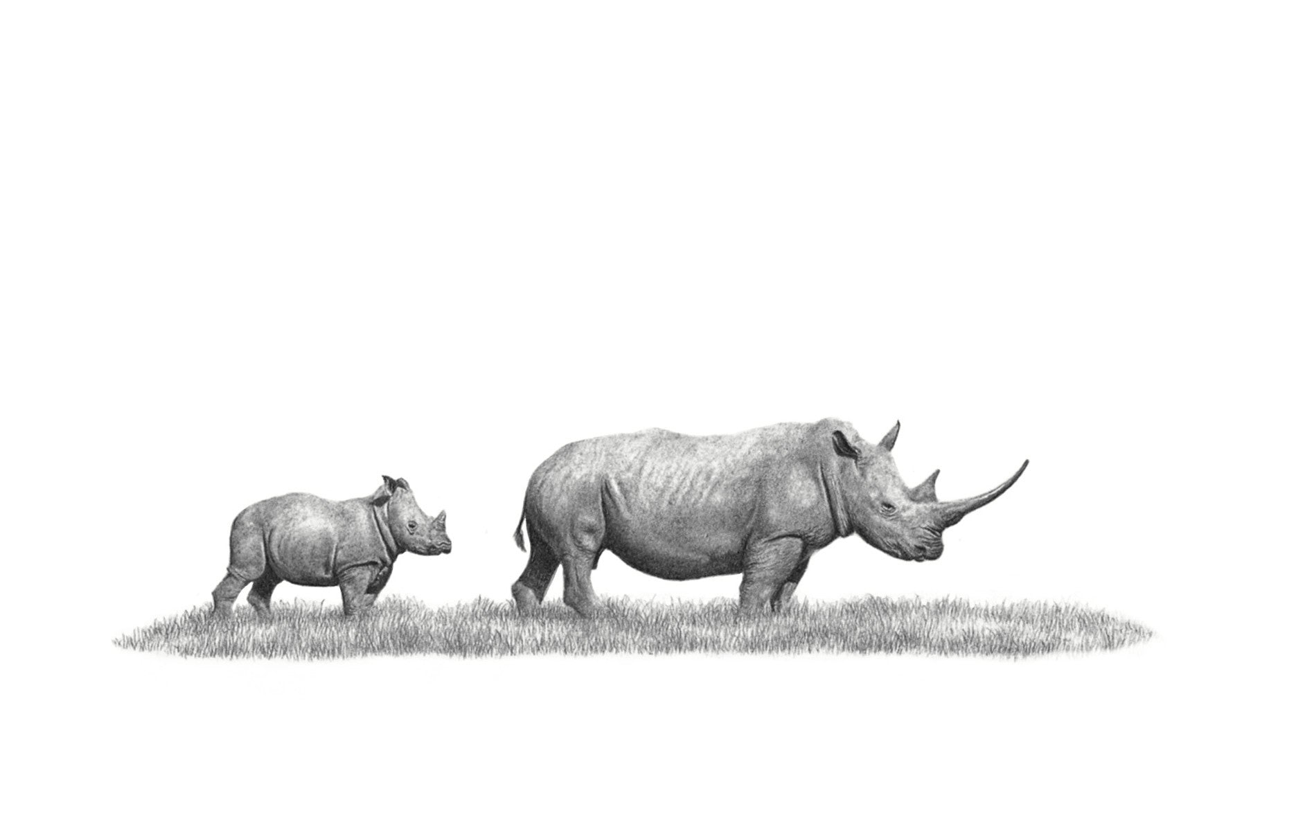 White Rhino Mother and Calf (WR5) on Canvas