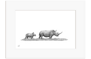 White Rhino Mother and Calf - WR5
