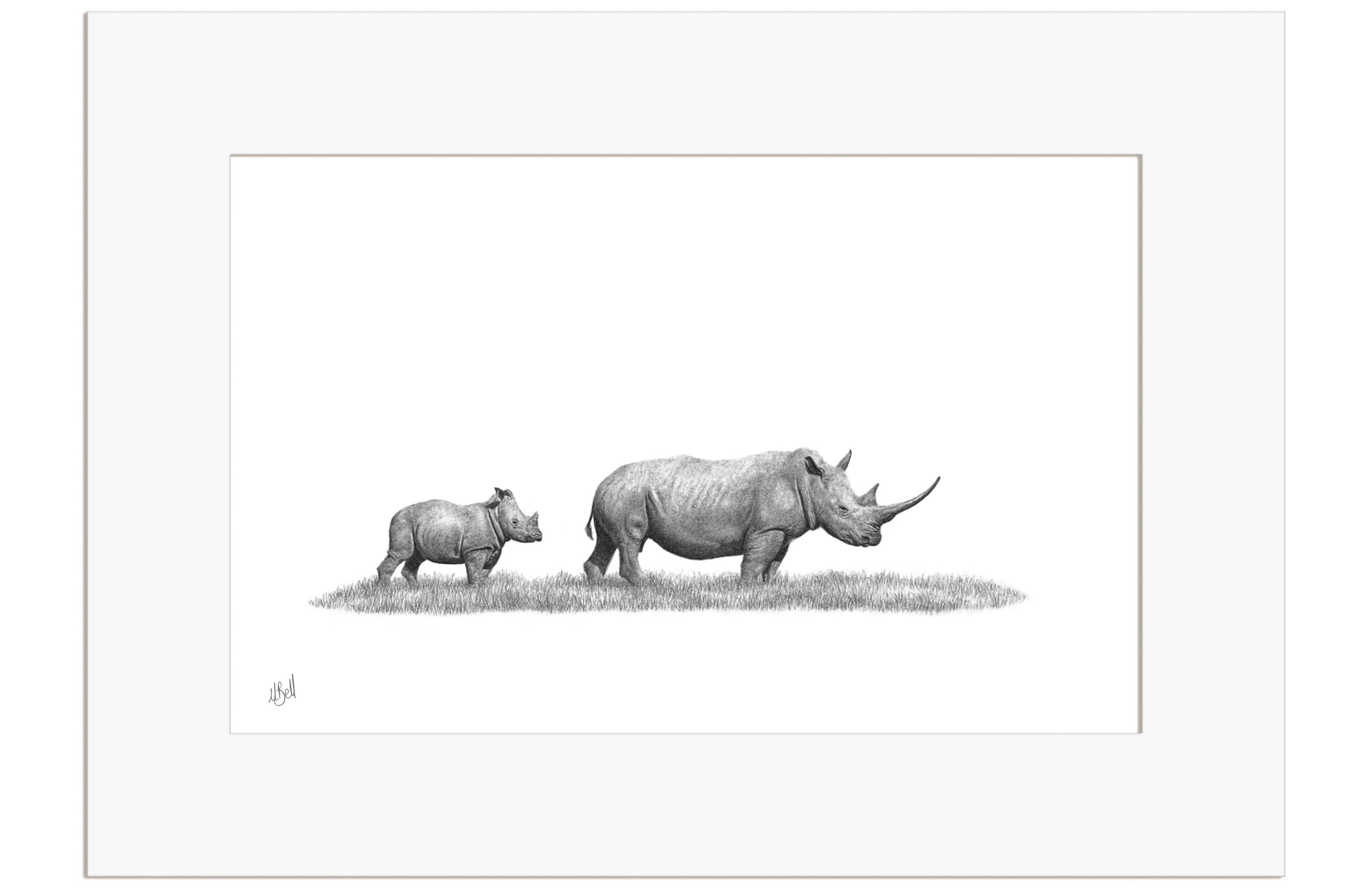 White Rhino Mother and Calf - WR5