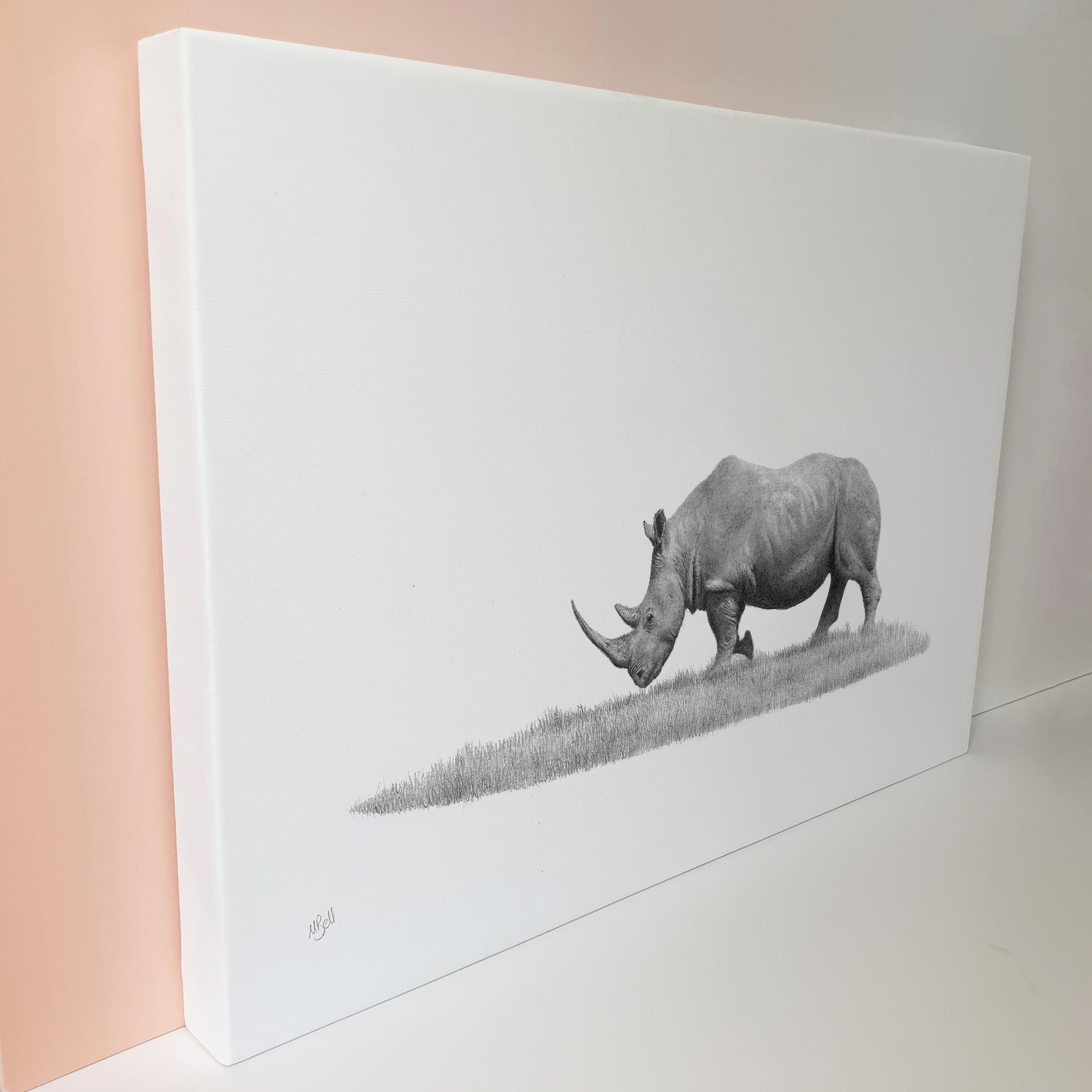 African White Rhino wildlife art on canvas by Matthew Bell