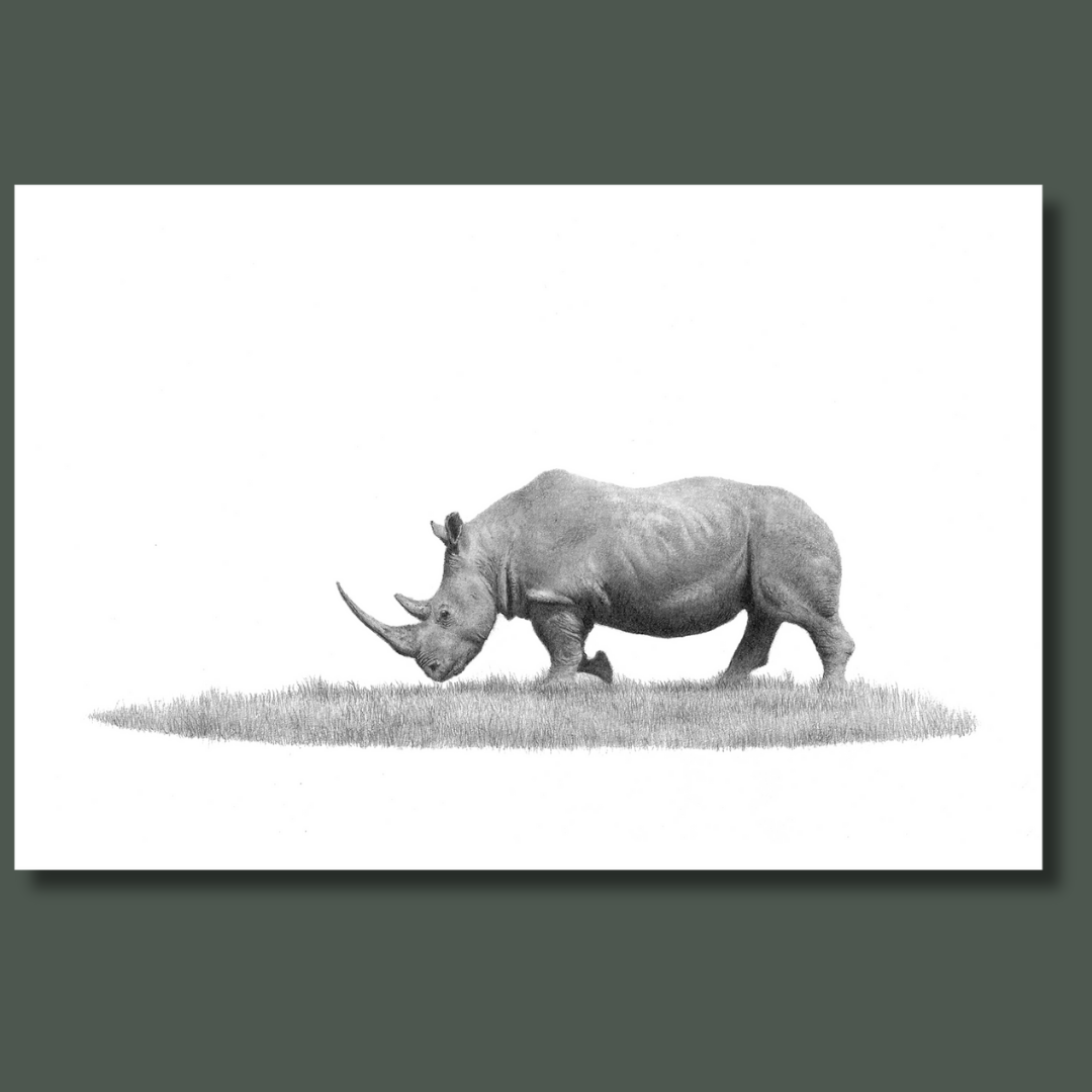 African White Rhino wildlife art on canvas by Matthew Bell