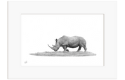 White Rhino - WR6