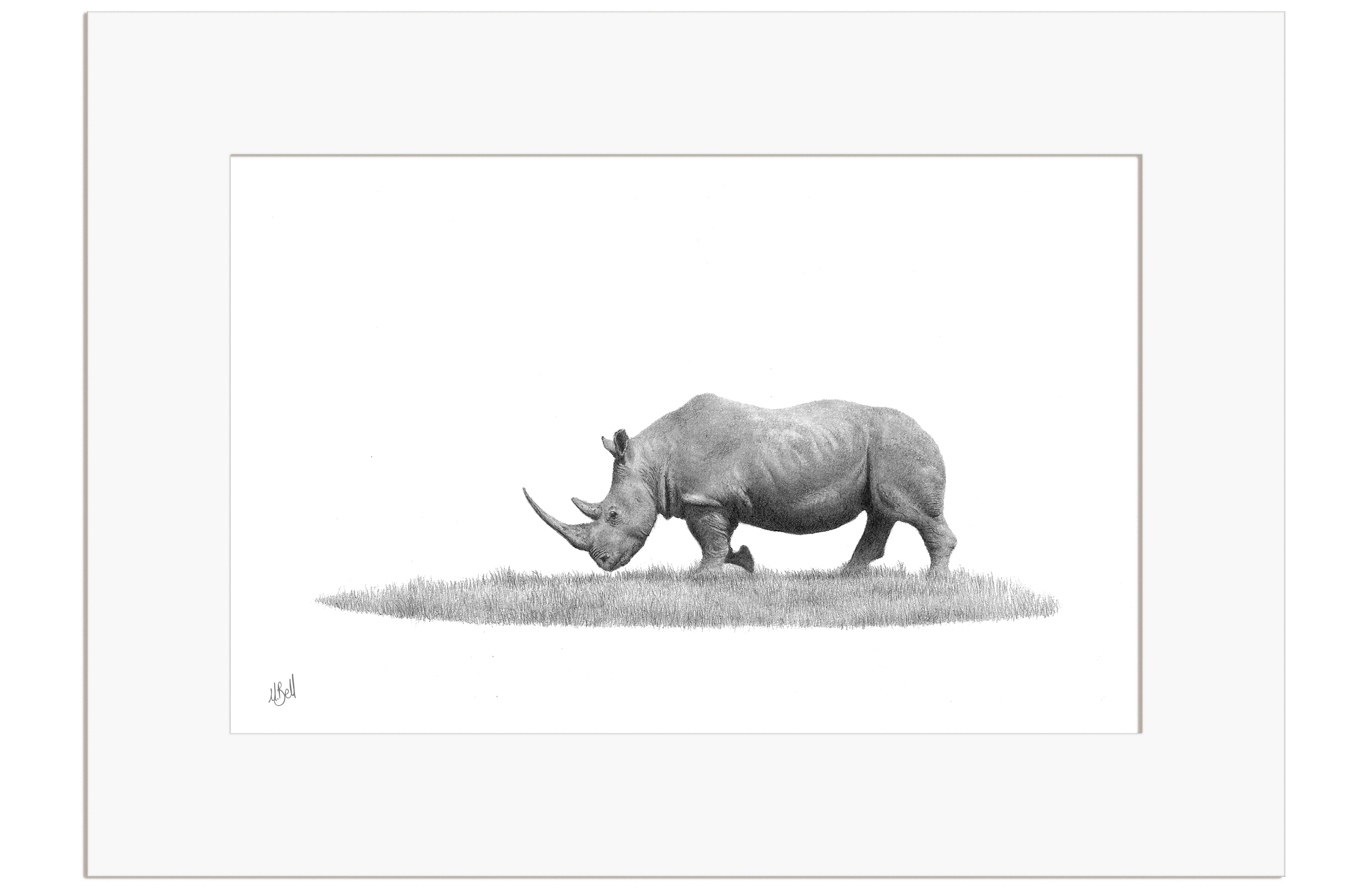 White Rhino - WR6