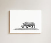 White Rhino drawing on canvas by South African wildlife artist Matthew Bell