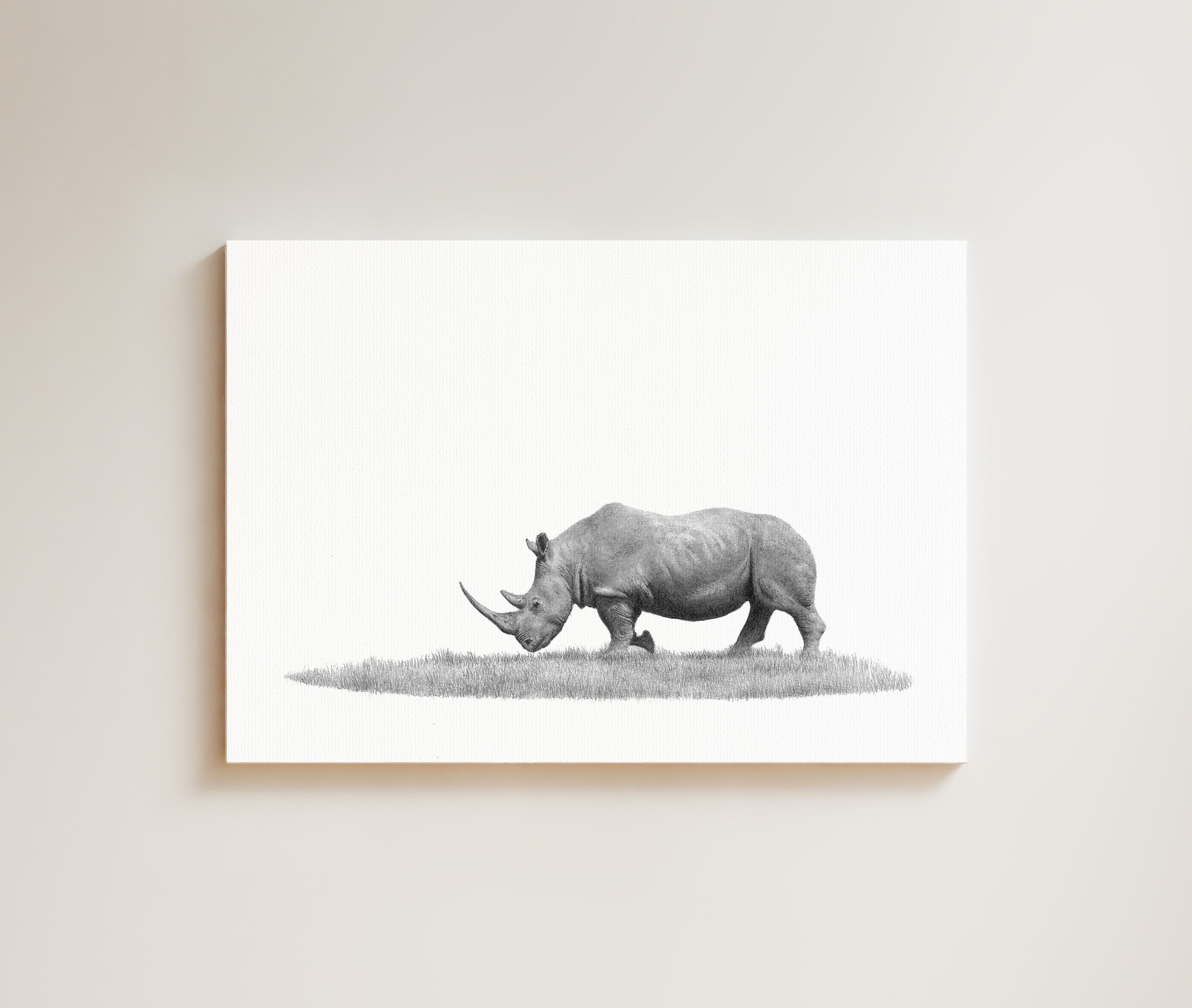 White Rhino drawing on canvas by South African wildlife artist Matthew Bell