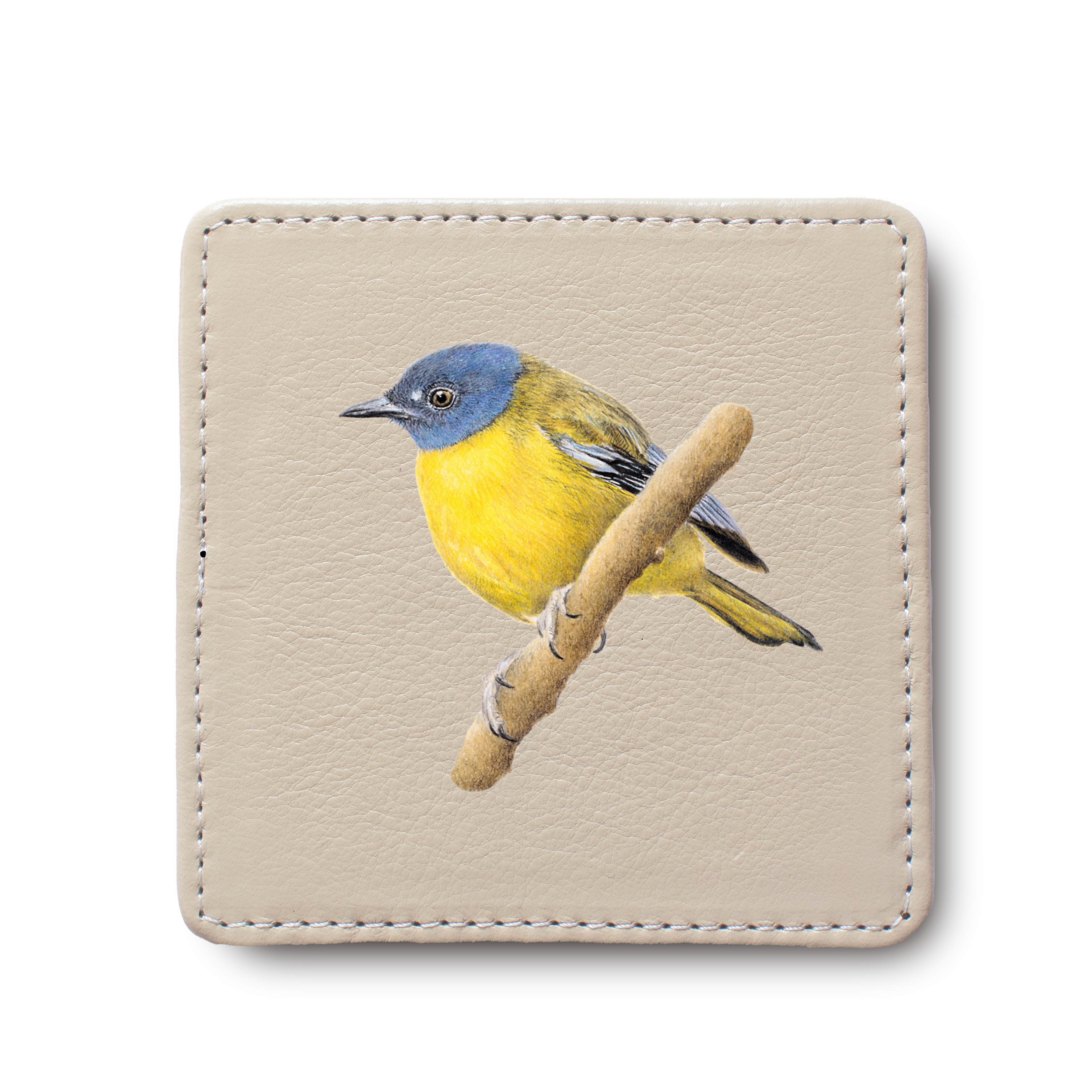 White Starred Robin Bird leather coaster by South African wildlife artist Matthew Bell