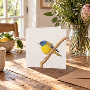 White Starred Robin Greeting Card - WSR
