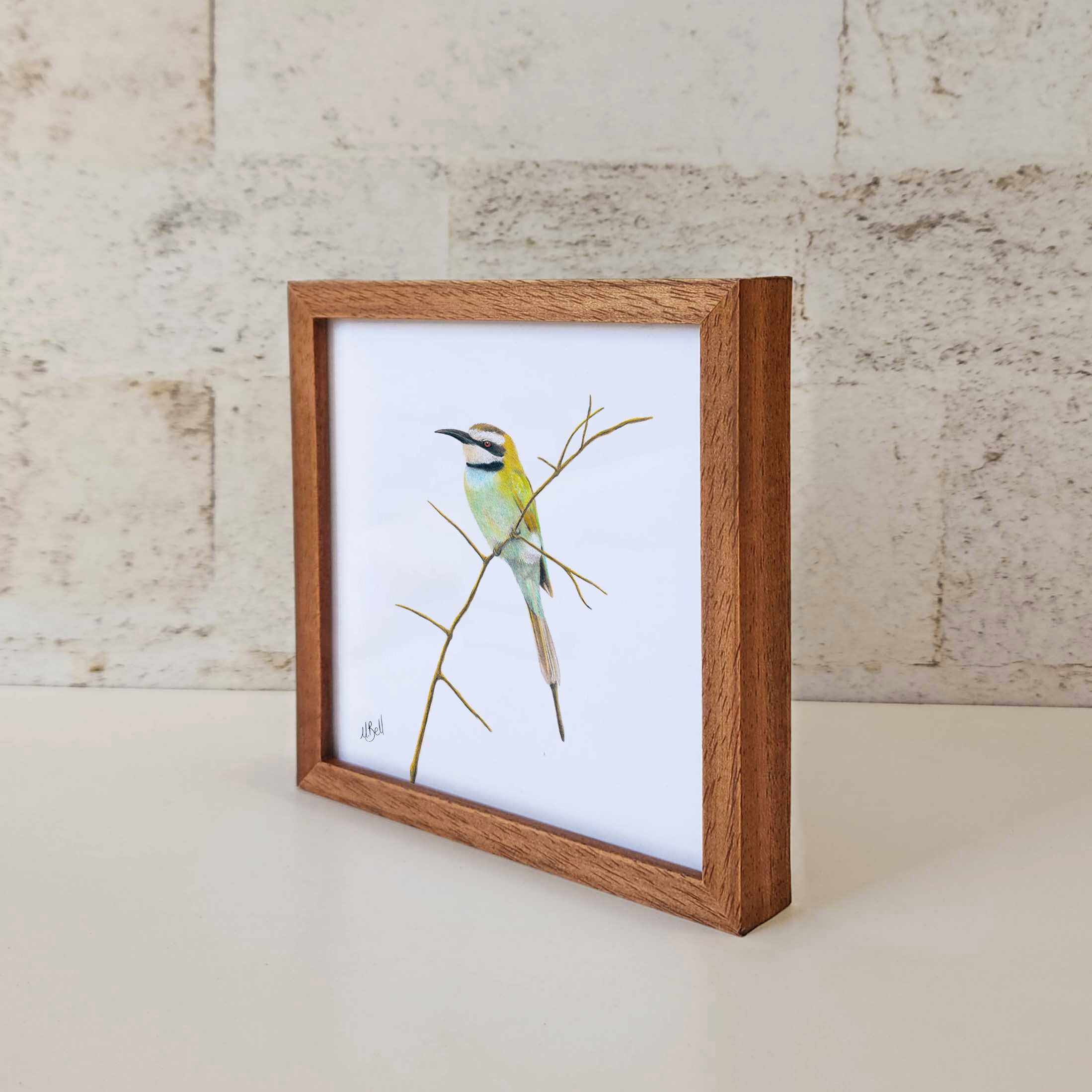 Kiaat wood framed miniature artwork of a White Throated Bee Eater, part of wildlife artist Matthew Bell's birds of South Africa gallery