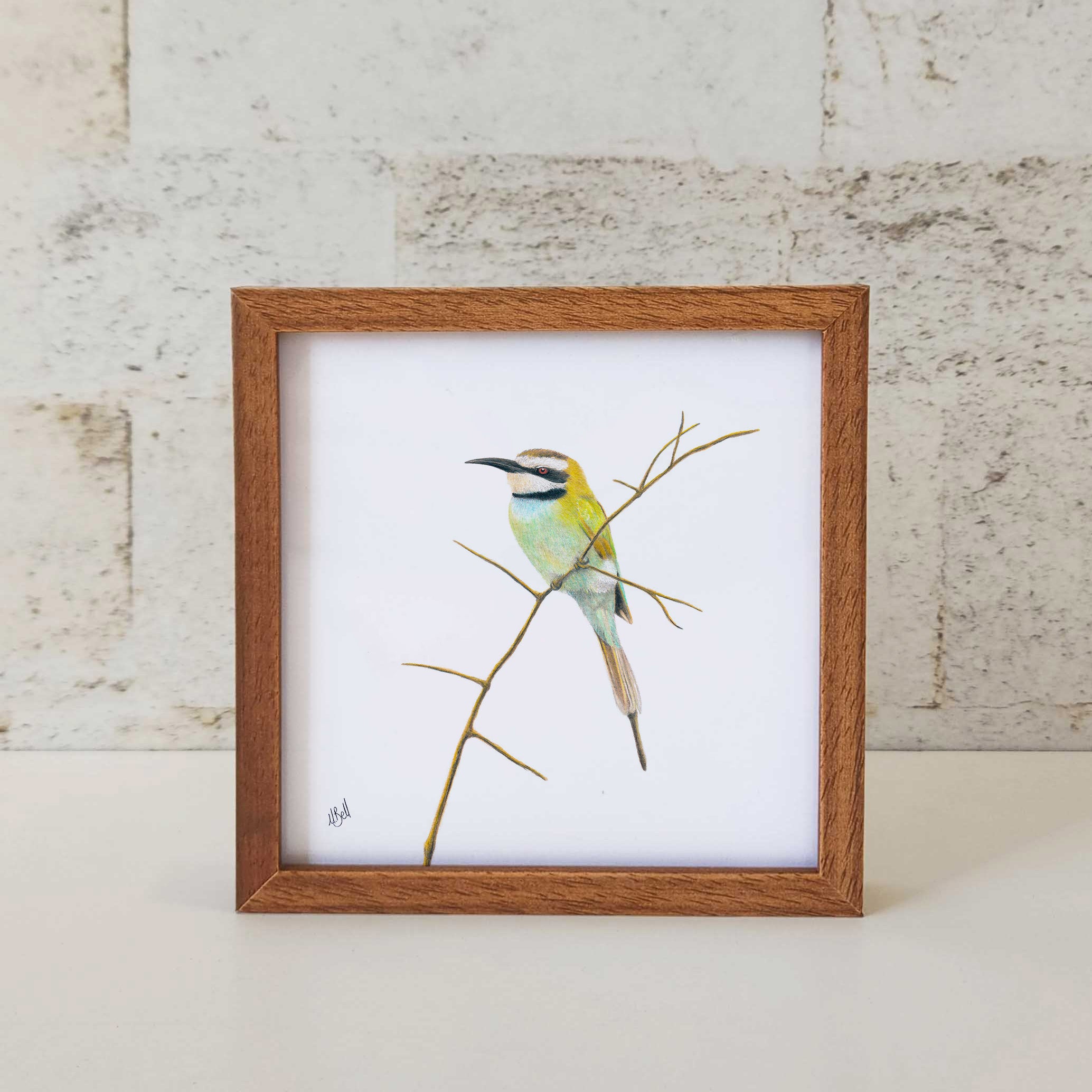 Kiaat wood framed miniature artwork of a White Throated Bee Eater, part of wildlife artist Matthew Bell's birds of South Africa gallery