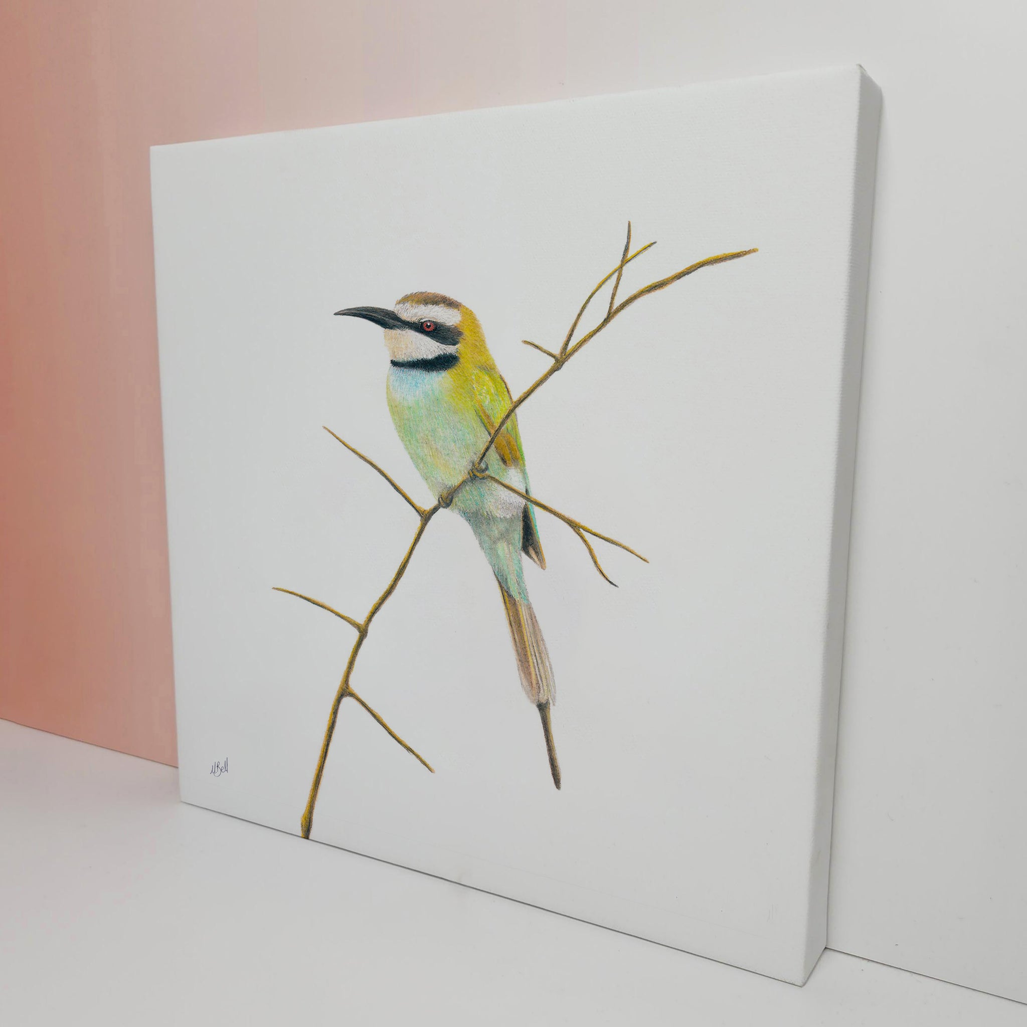 Stretched canvas South African bird artwork of a White Throated Bee Eater