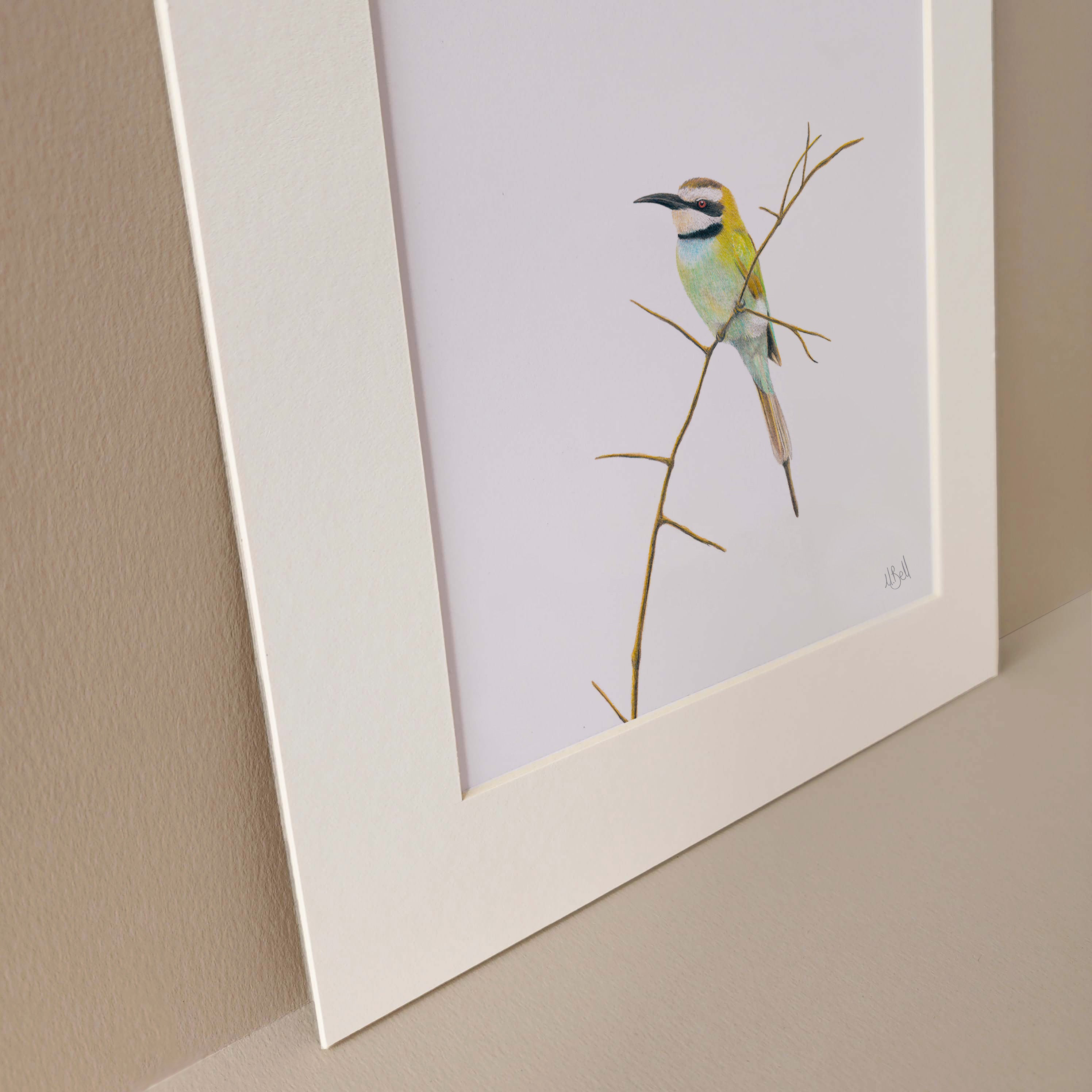 White Throated Bee Eater South African bird art