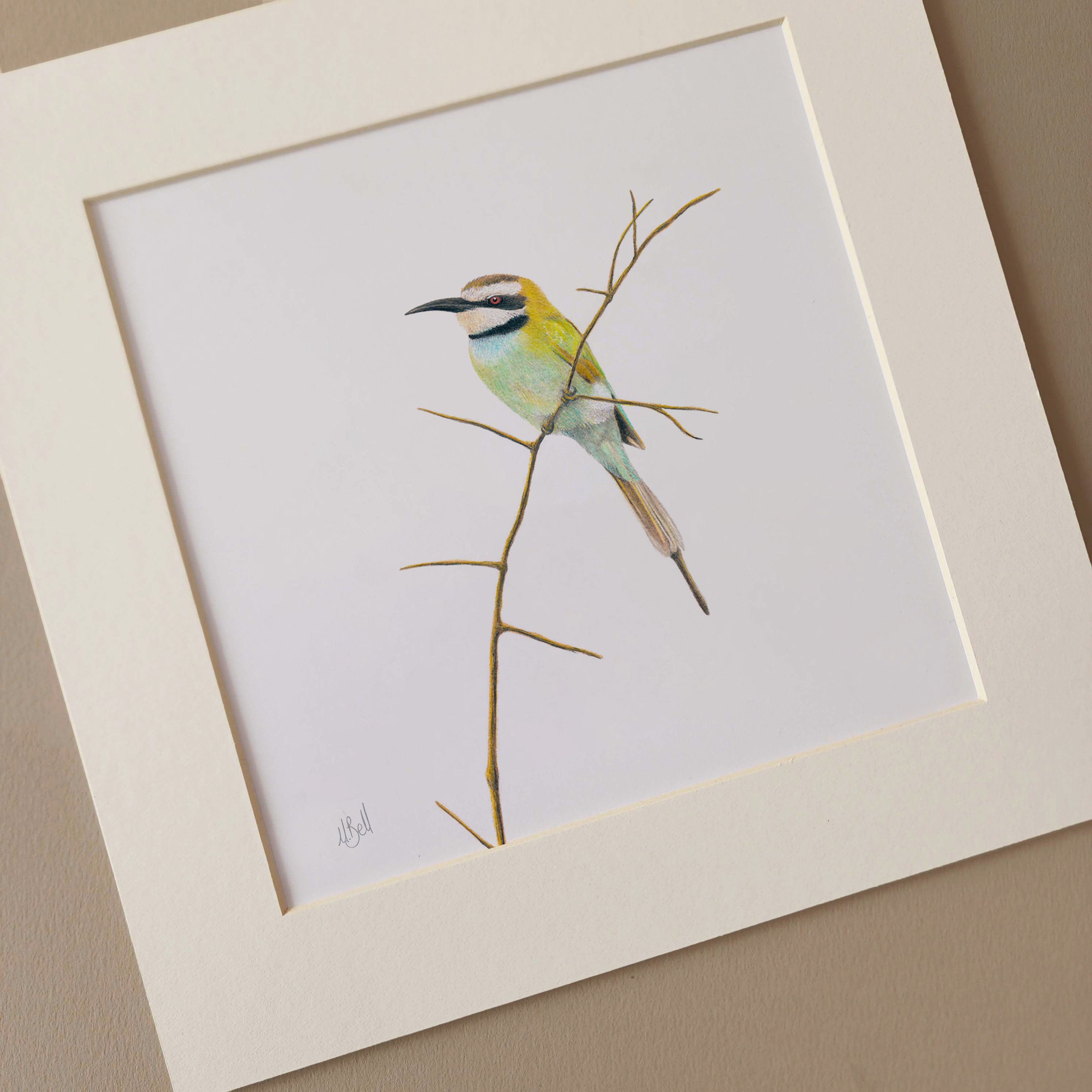 White Throated Bee Eater South African bird art