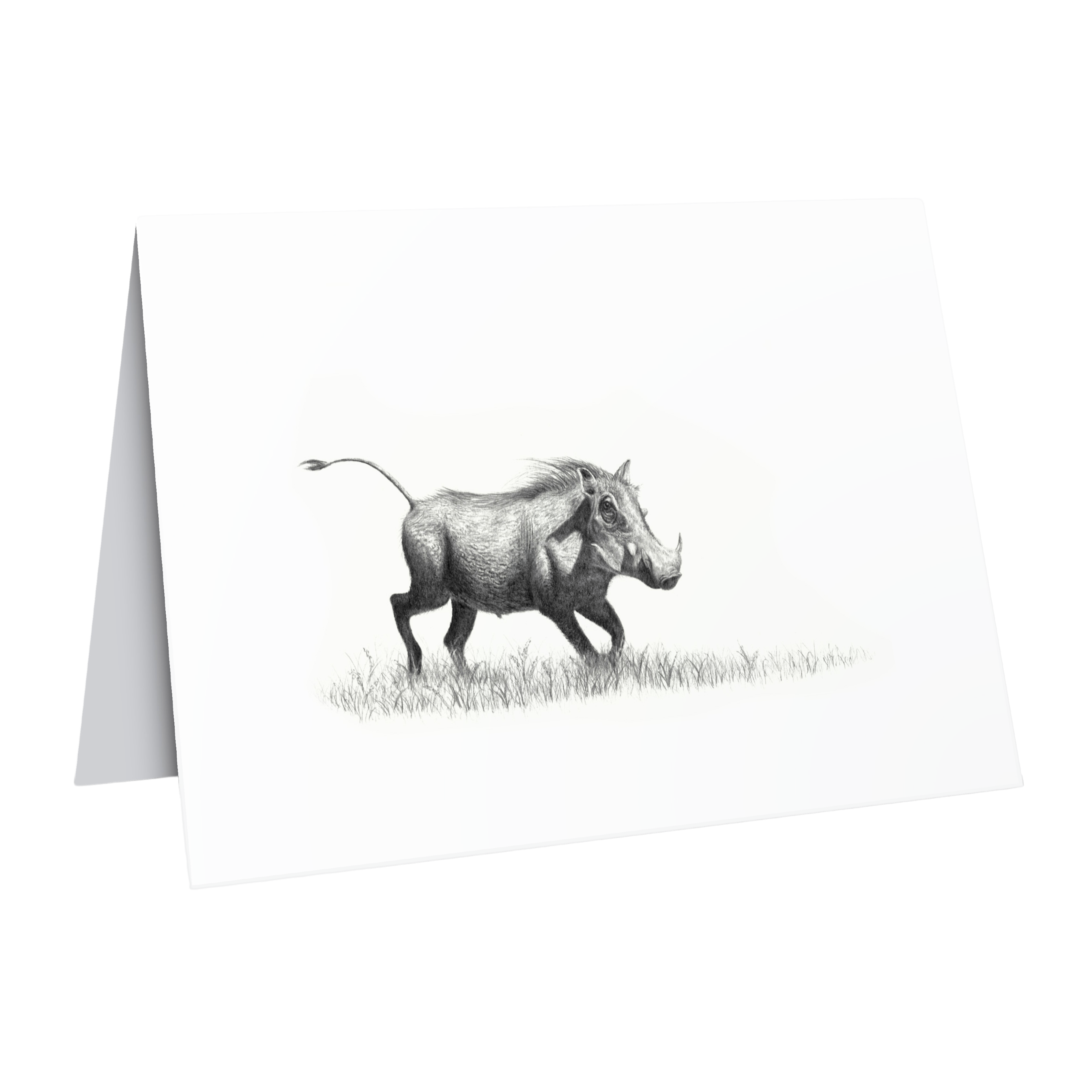 Fine art wildlife greeting card of a warthog