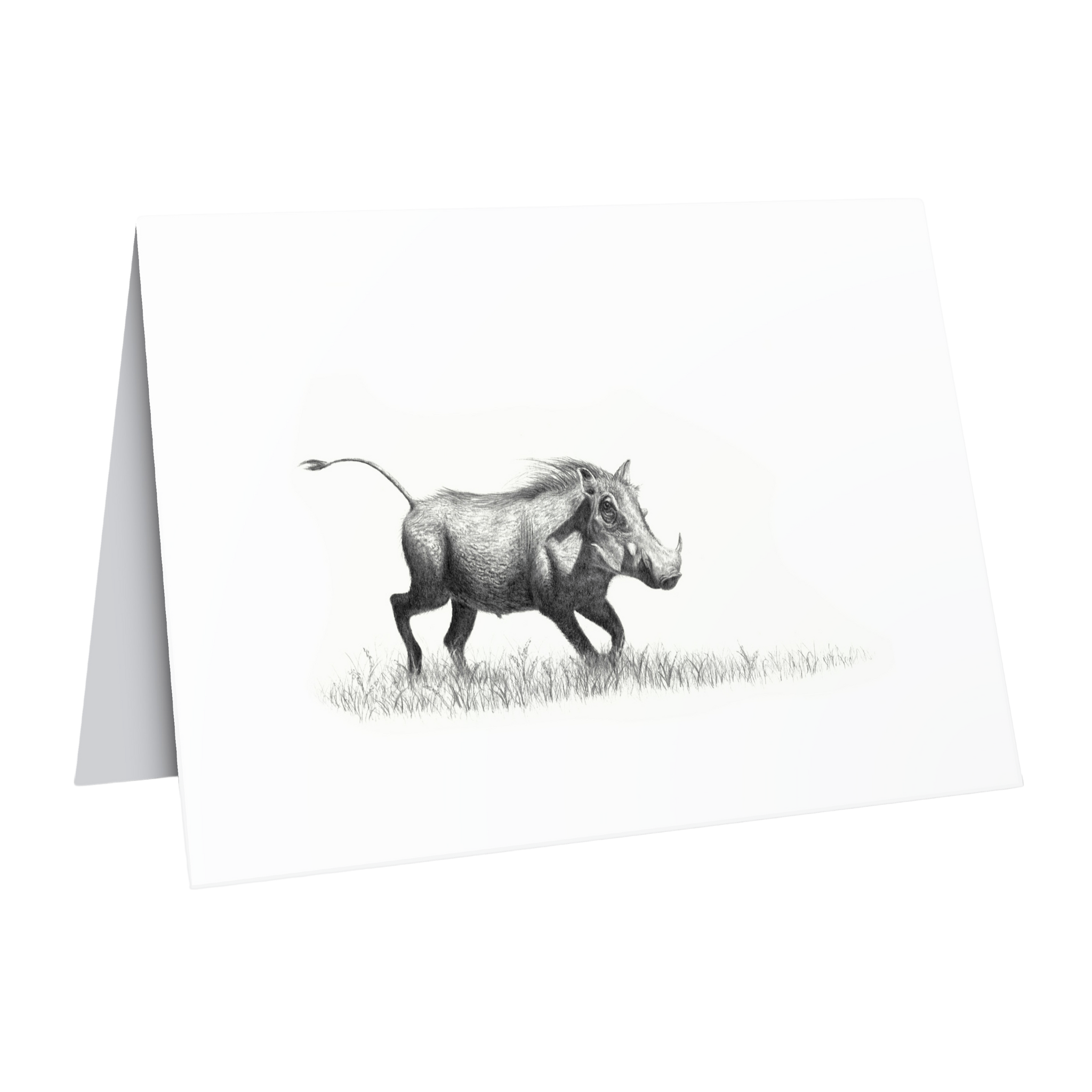 Fine art wildlife greeting card of a warthog