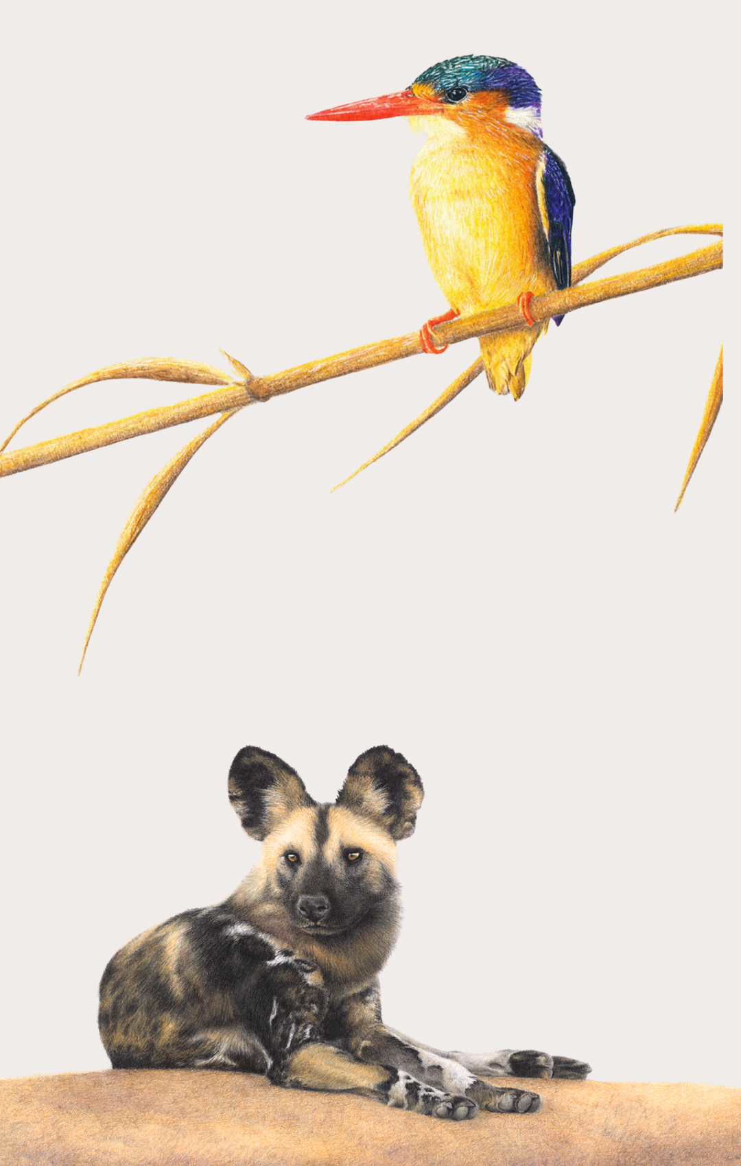Website_Banner_Mobile-6_1c5d67a0-f03e-4450-a2e8-19ebb499605b.png