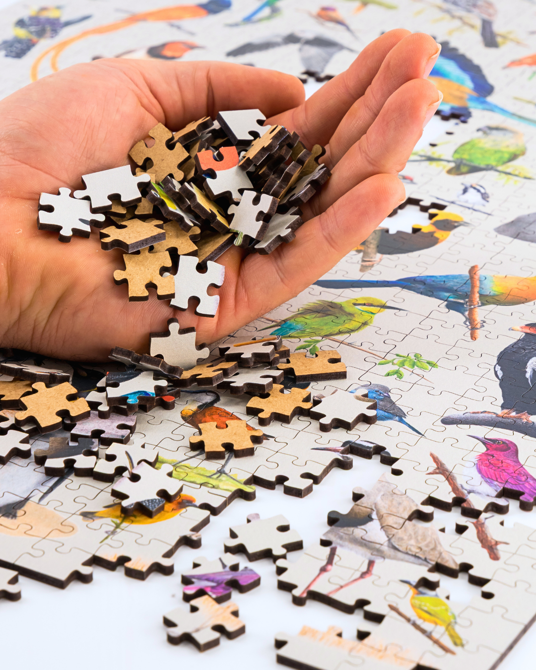 Wooden_Wildlife_Birds_Puzzle.png