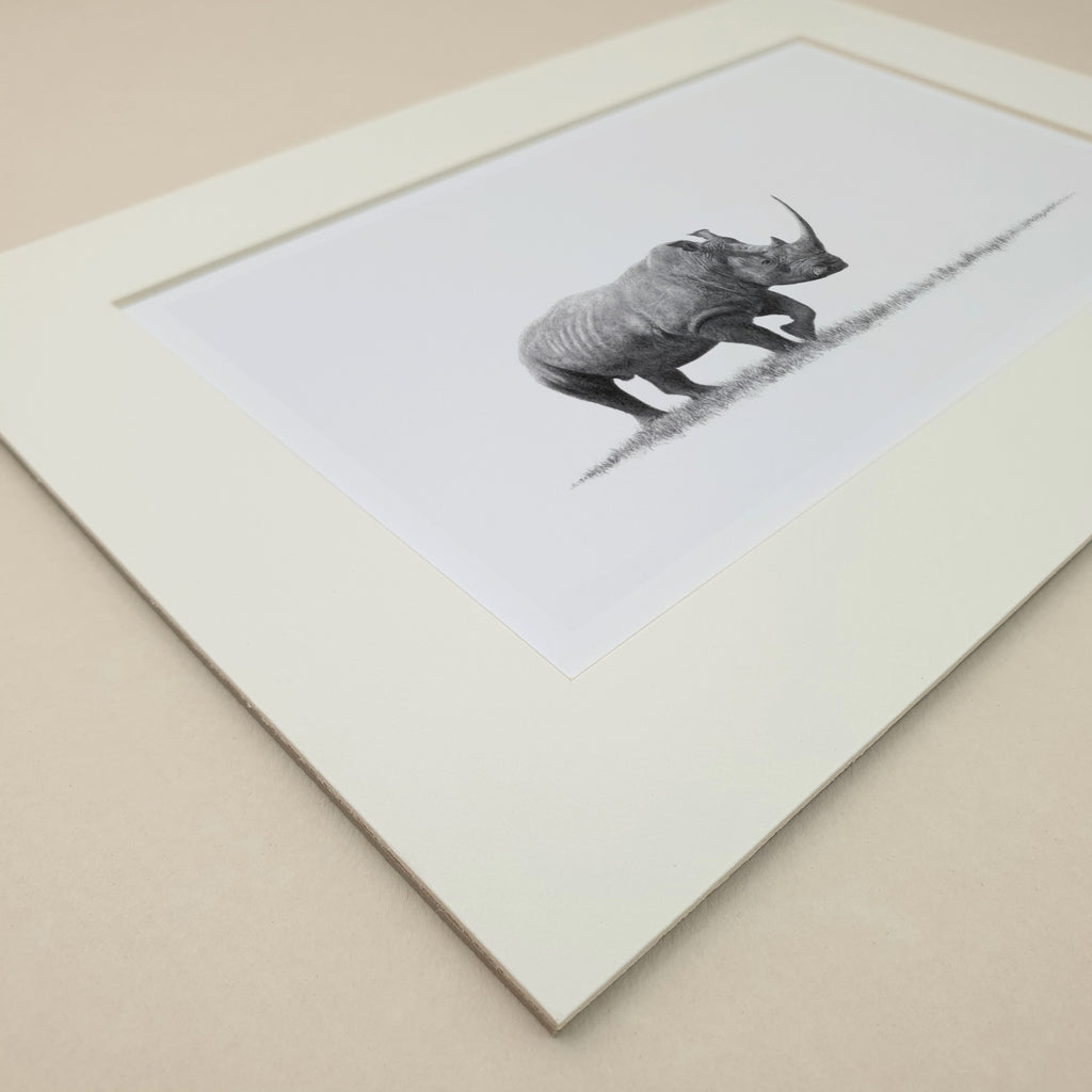 African White Rhino male in South Africa pencil artwork