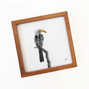 Kiaat wood framed miniature artwork of a Yellow Billed Hornbill, part of wildlife artist Matthew Bell's birds of South Africa gallery