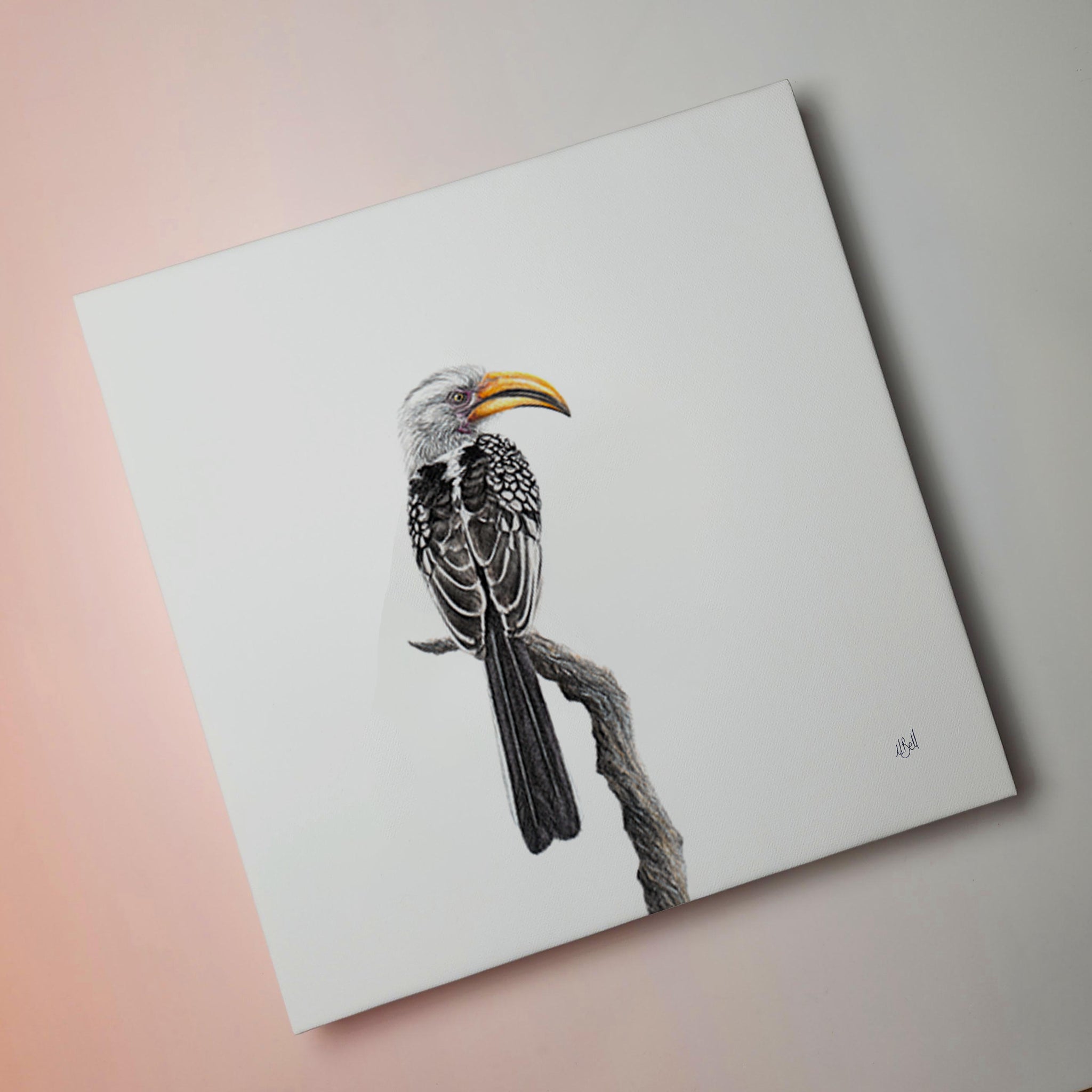 Yellow Billed Hornbill nature bird artwork on canvas