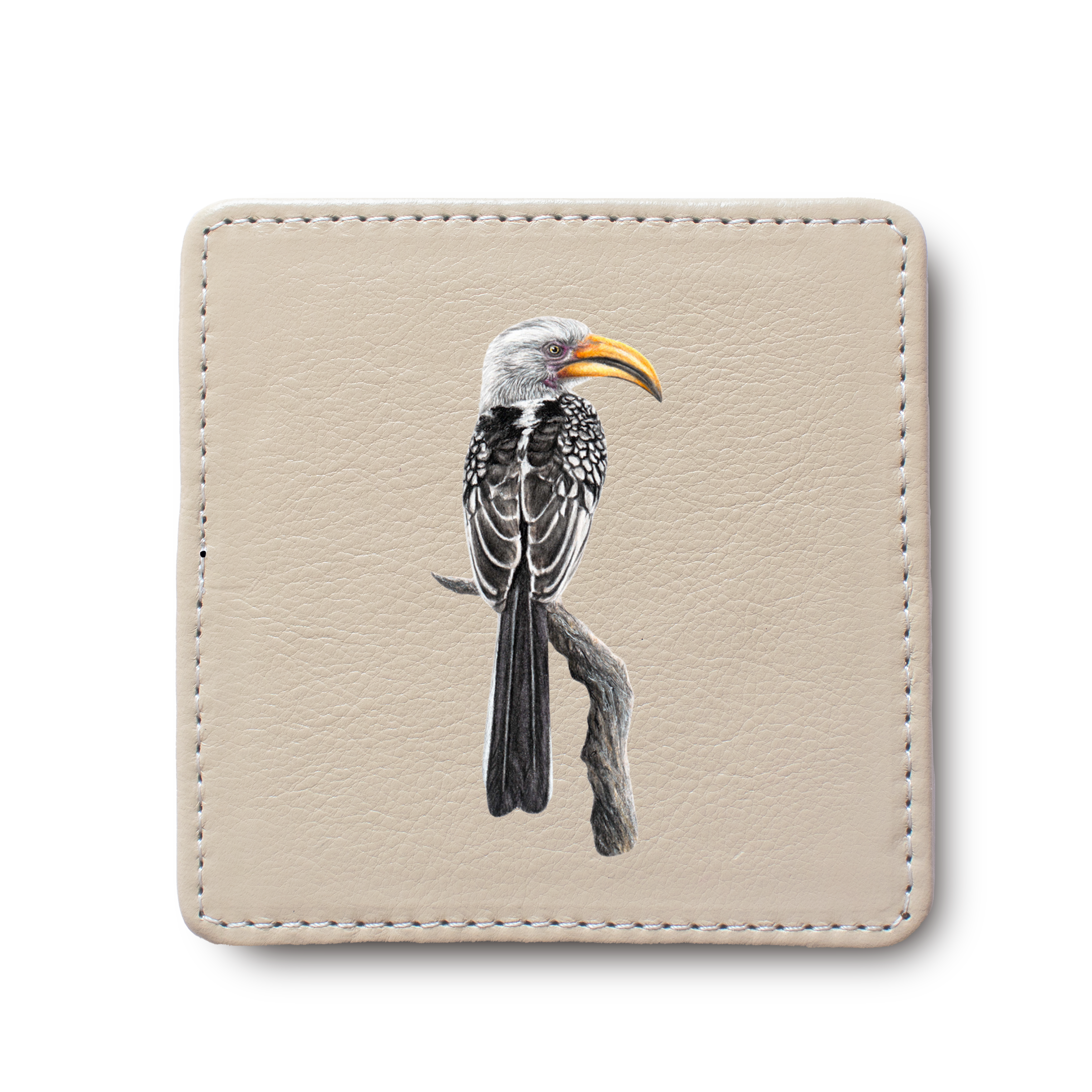 Yellow Billed Hornbill Bird leather coaster by South African wildlife artist Matthew Bell
