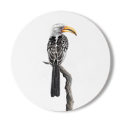 Yellow Billed Hornbill Wooden Coaster - YBH