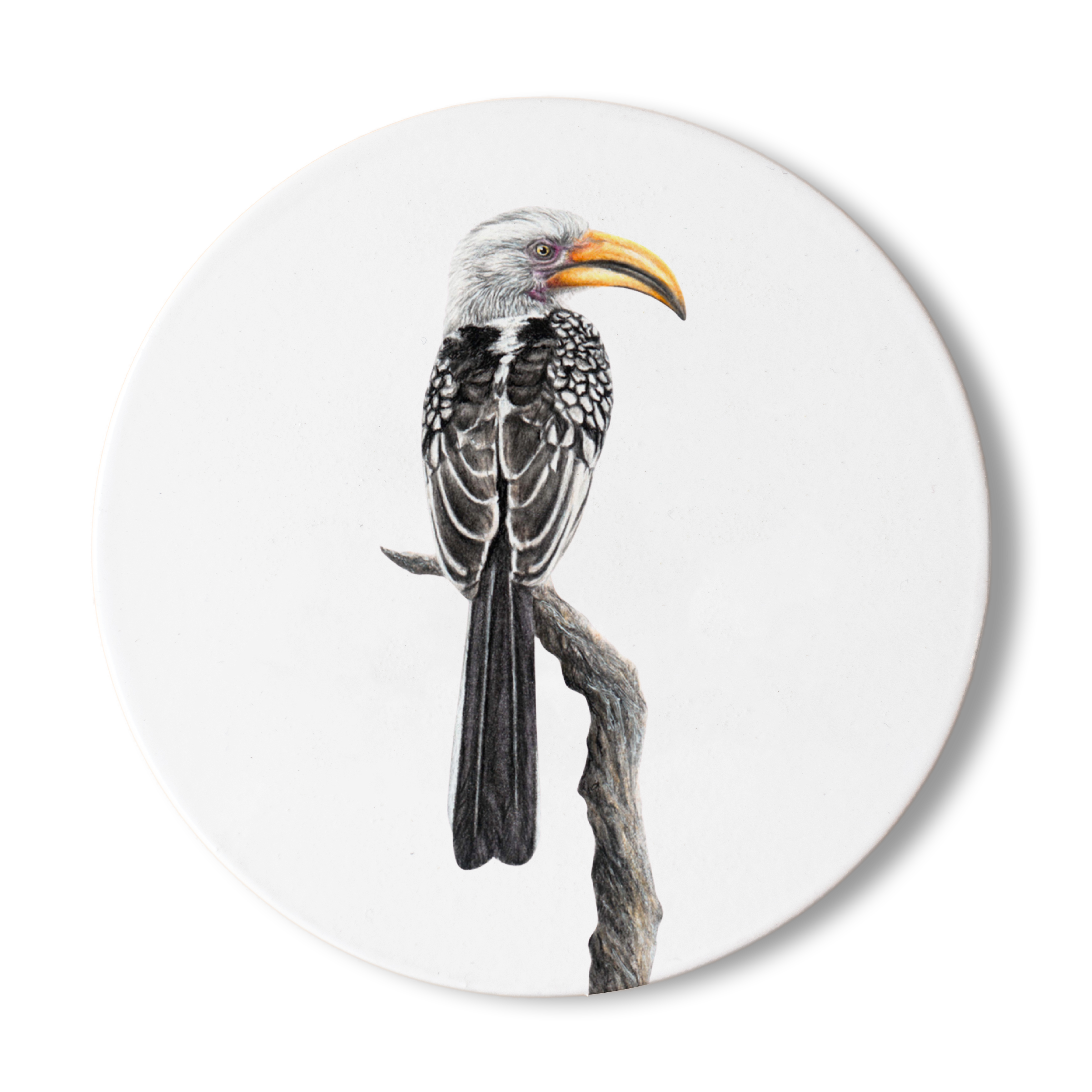 YBH_7da87506-f37b-45b0-a411-2a10e6e3c111.png