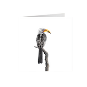 Yellow Billed Hornbill Greeting Card - YBH