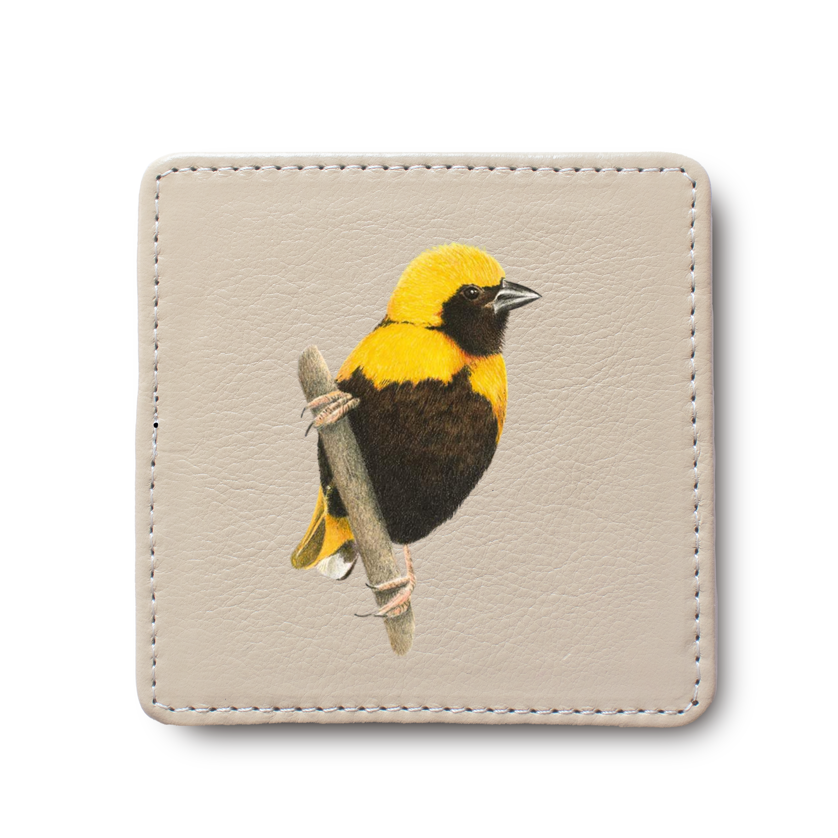 Yellow Crowned Bishop Bird leather coaster by South African wildlife artist Matthew Bell