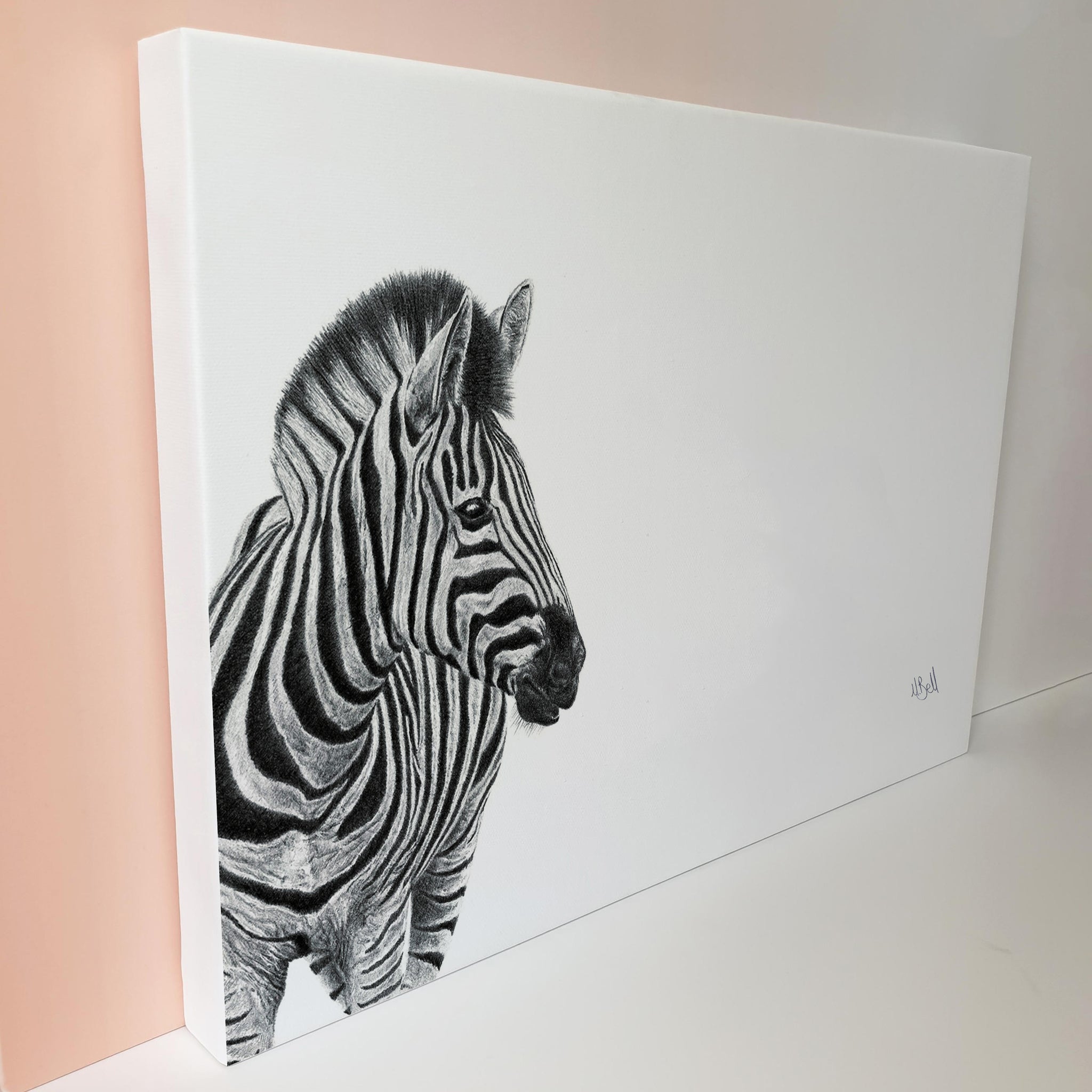Zebra portrait nature artwork stretched canvas print