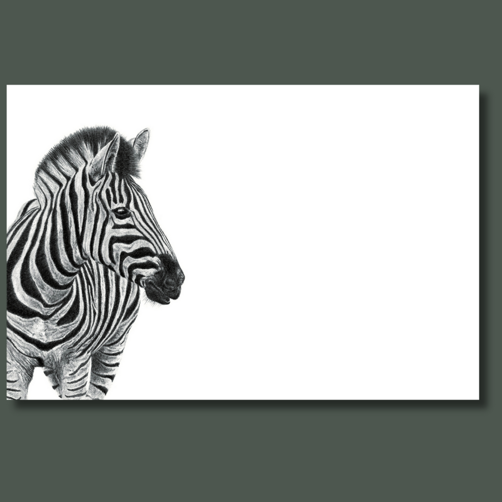 Zebra portrait wildlife artwork on canvas