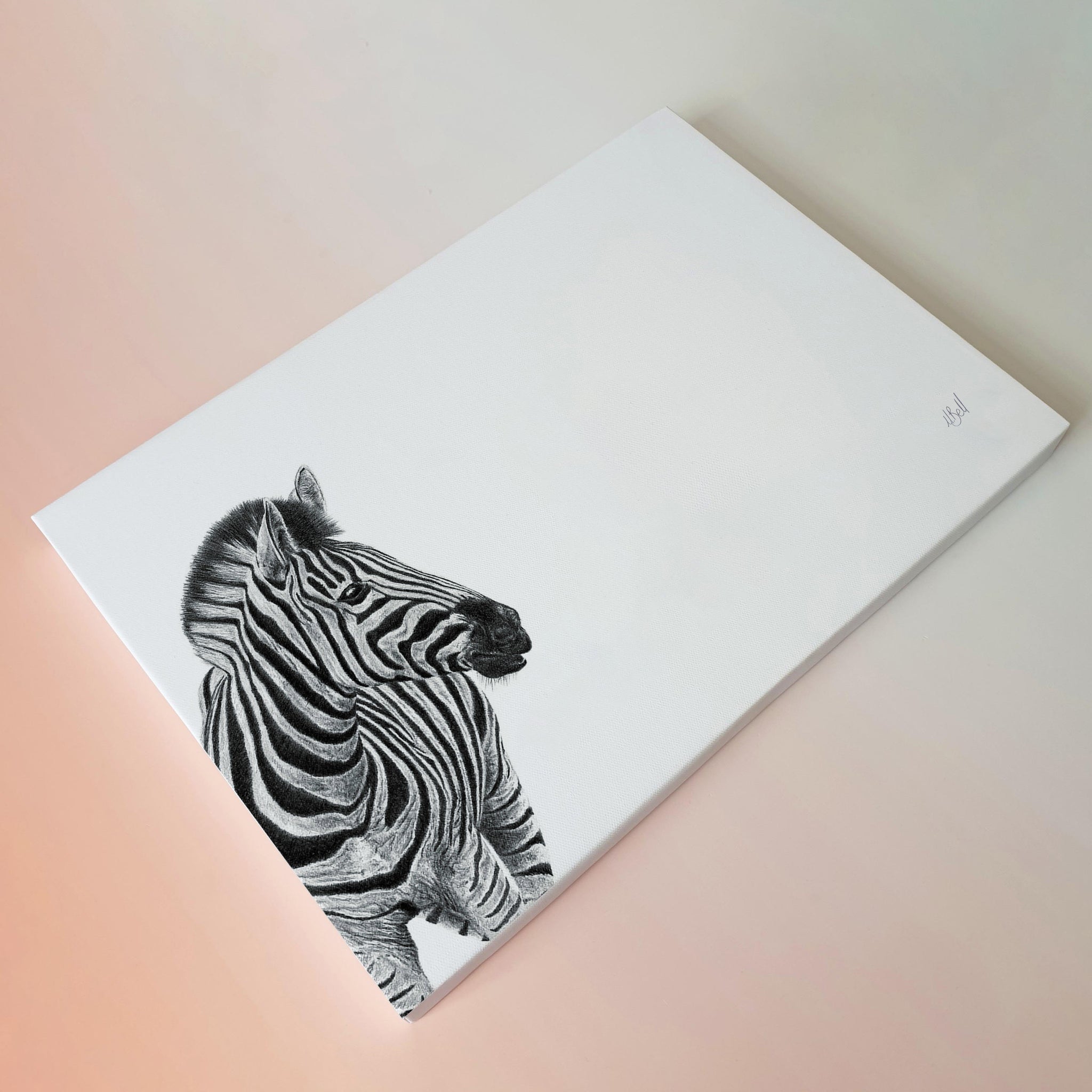 Zebra portrait nature artwork stretched canvas print