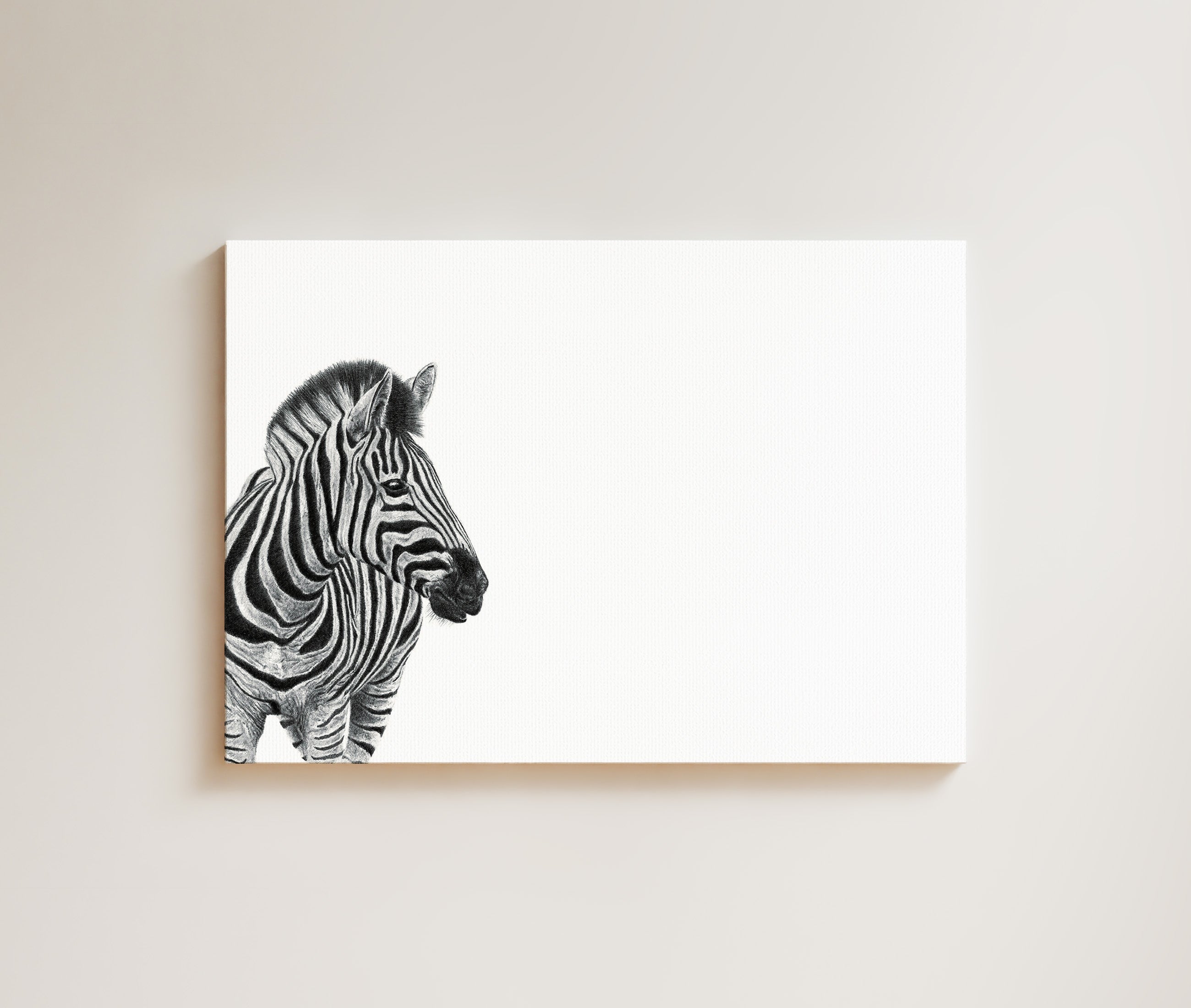 Zebra Portrait drawing on canvas by South African wildlife artist Matthew Bell