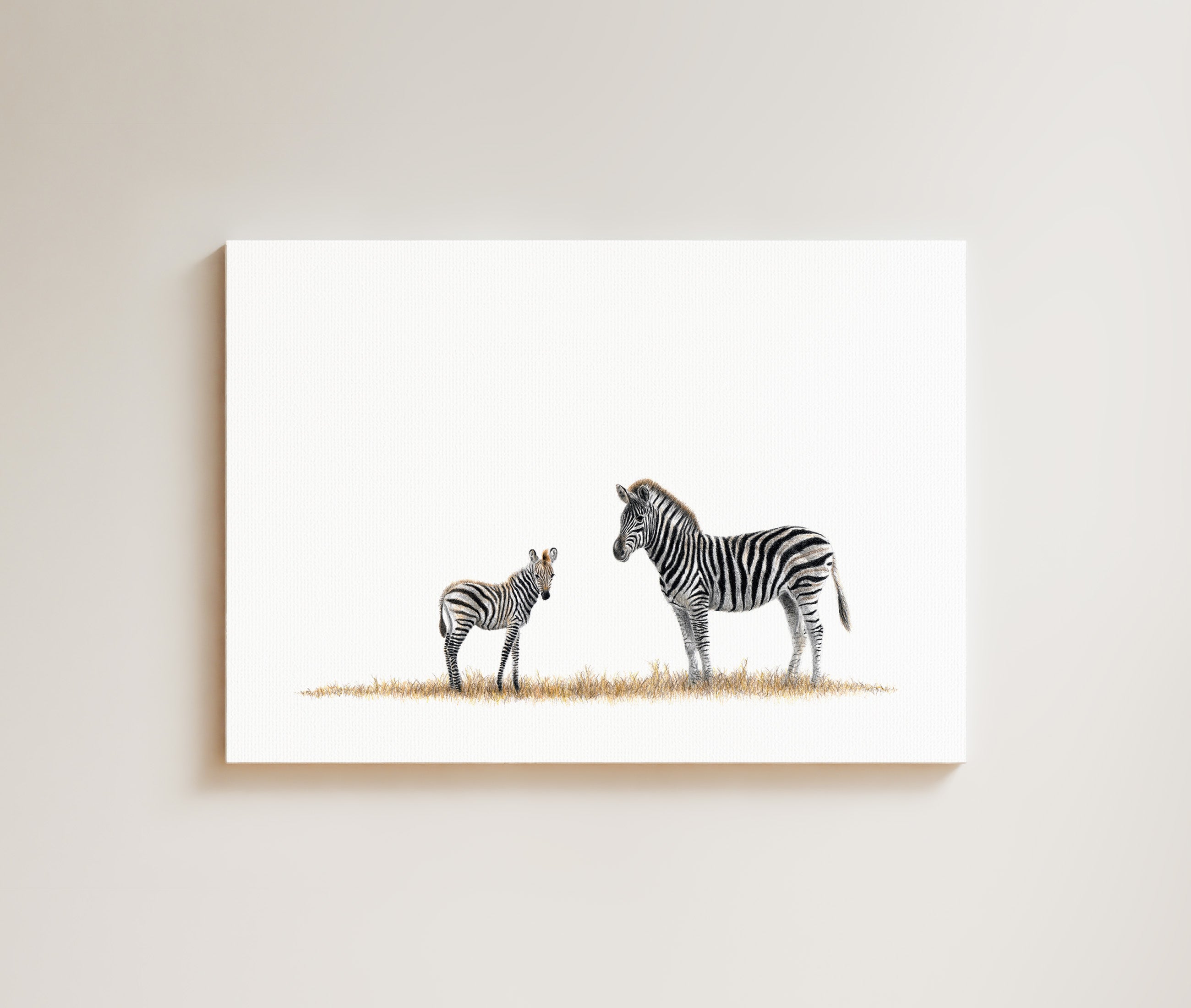 Zebra Mother and Baby drawing on canvas by South African wildlife artist Matthew Bell