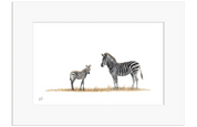 Zebra Mother and Baby - Z2