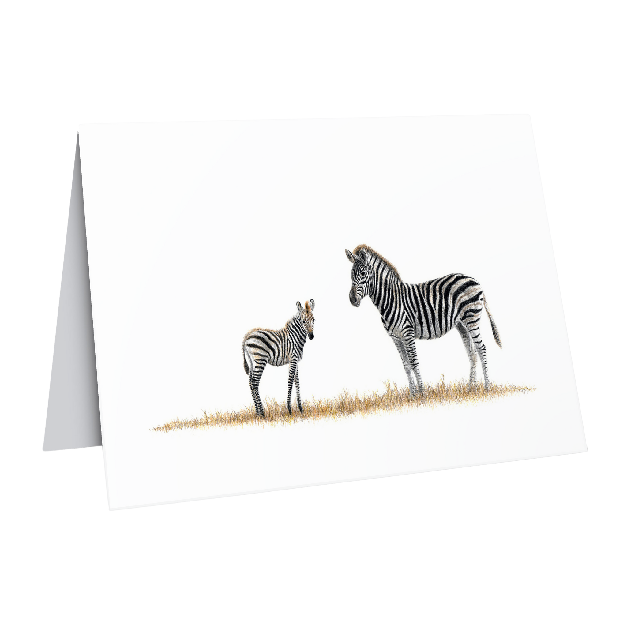 Zebra Mother and Baby Greeting Card - Z2