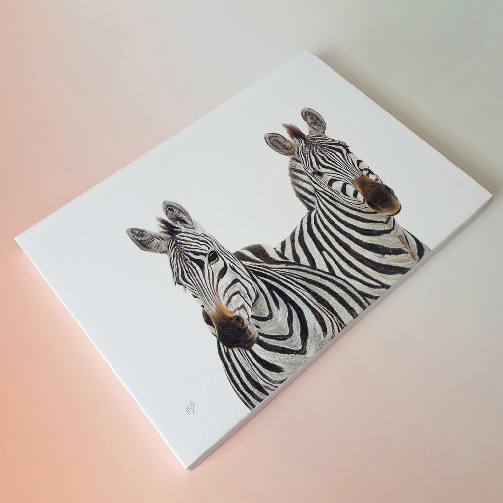 Pair of Zebras wildlife nature artwork on canvas