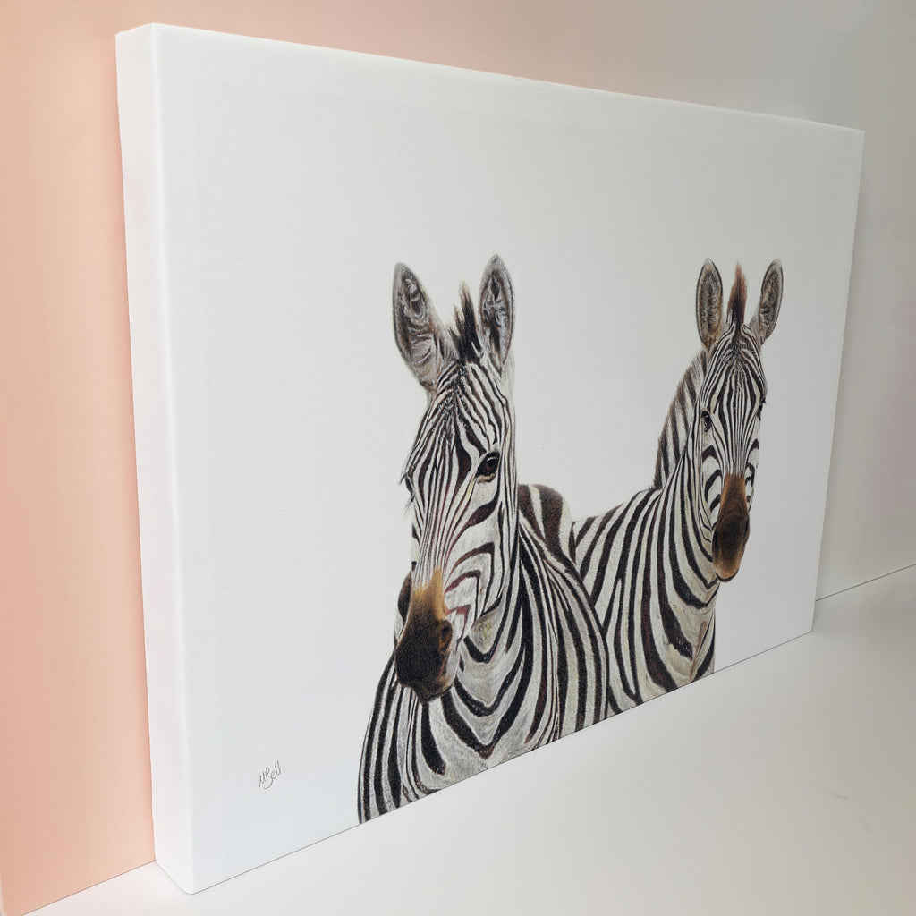 Pair of Zebras wildlife nature artwork on canvas