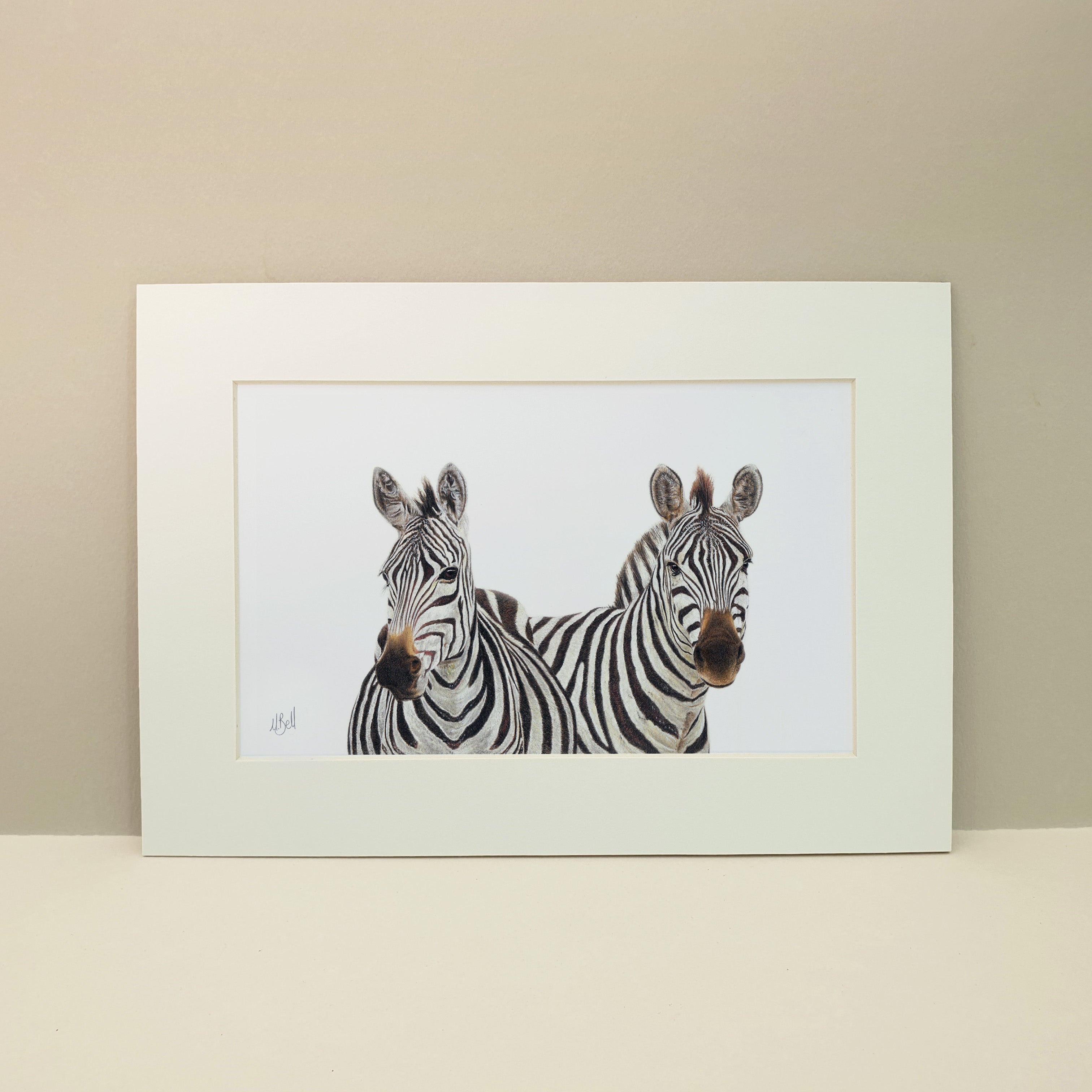 A pair of burchell's zebras wildlife artwork