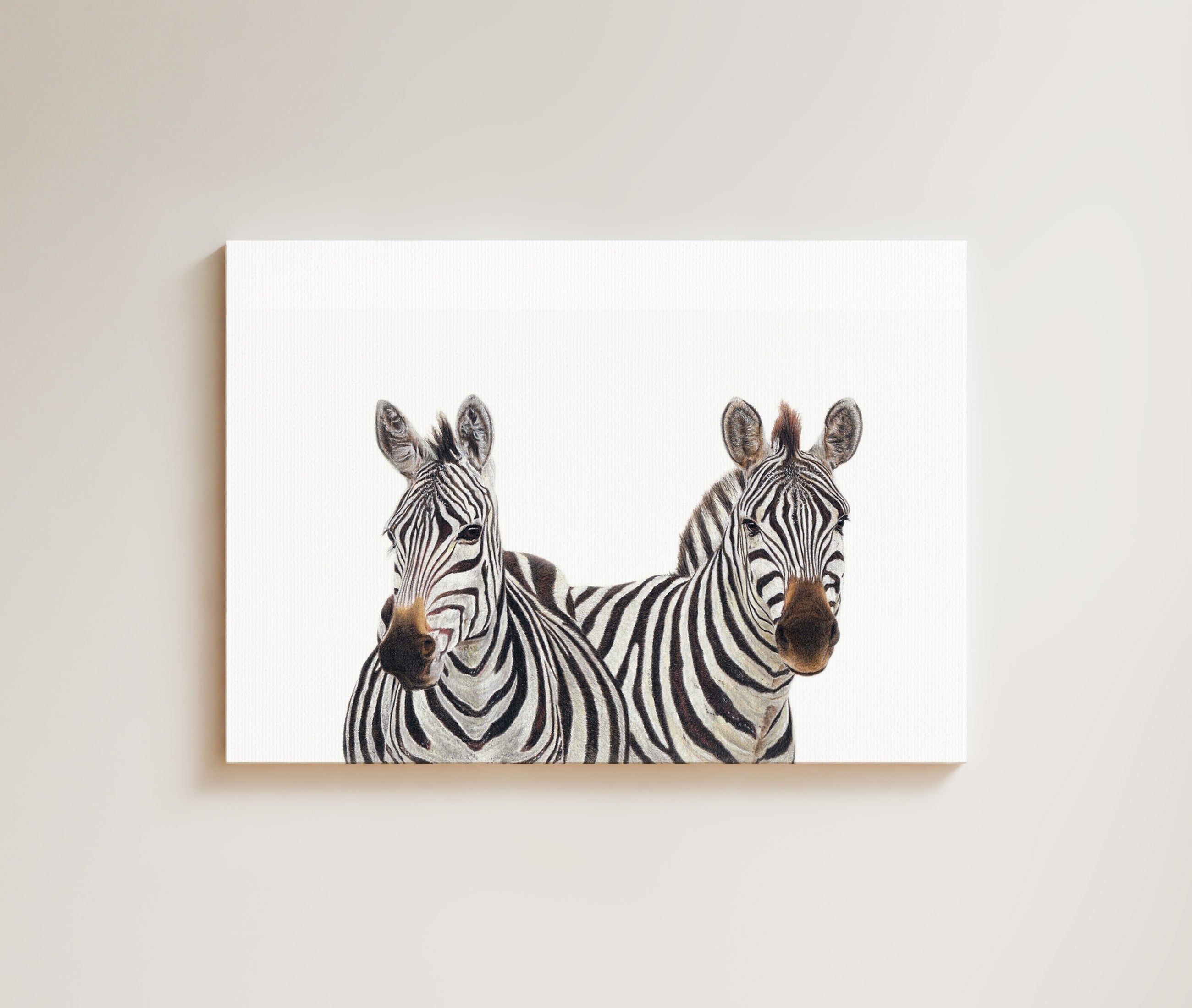 Zebra Pair drawing on canvas by South African wildlife artist Matthew Bell