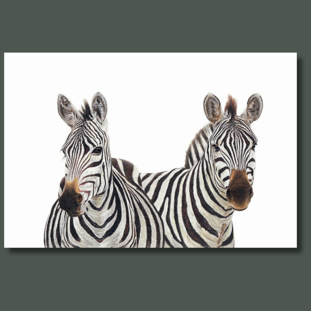 Pair of Zebras wildlife nature artwork on canvas