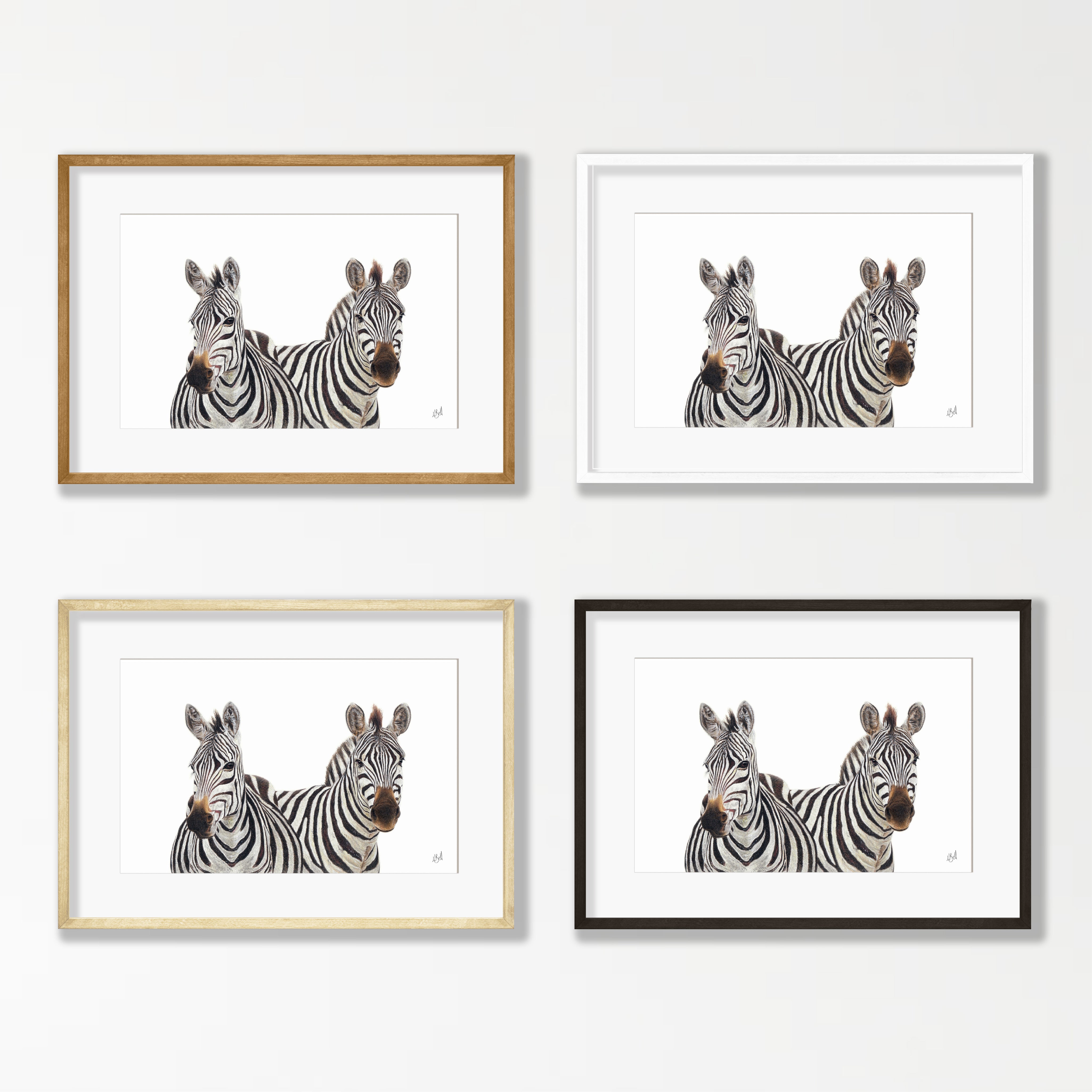 Zebra Pair - Z3