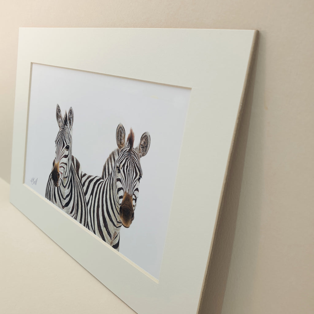 A pair of burchell's zebras wildlife artwork