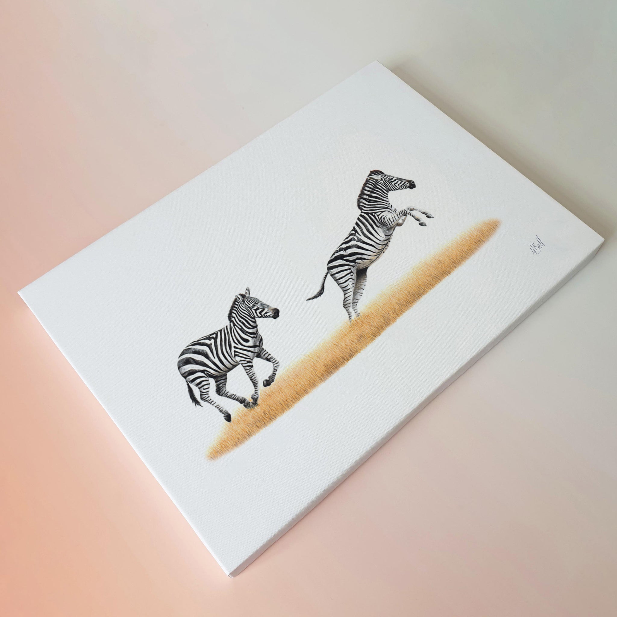Two zebras running canvas print artwork