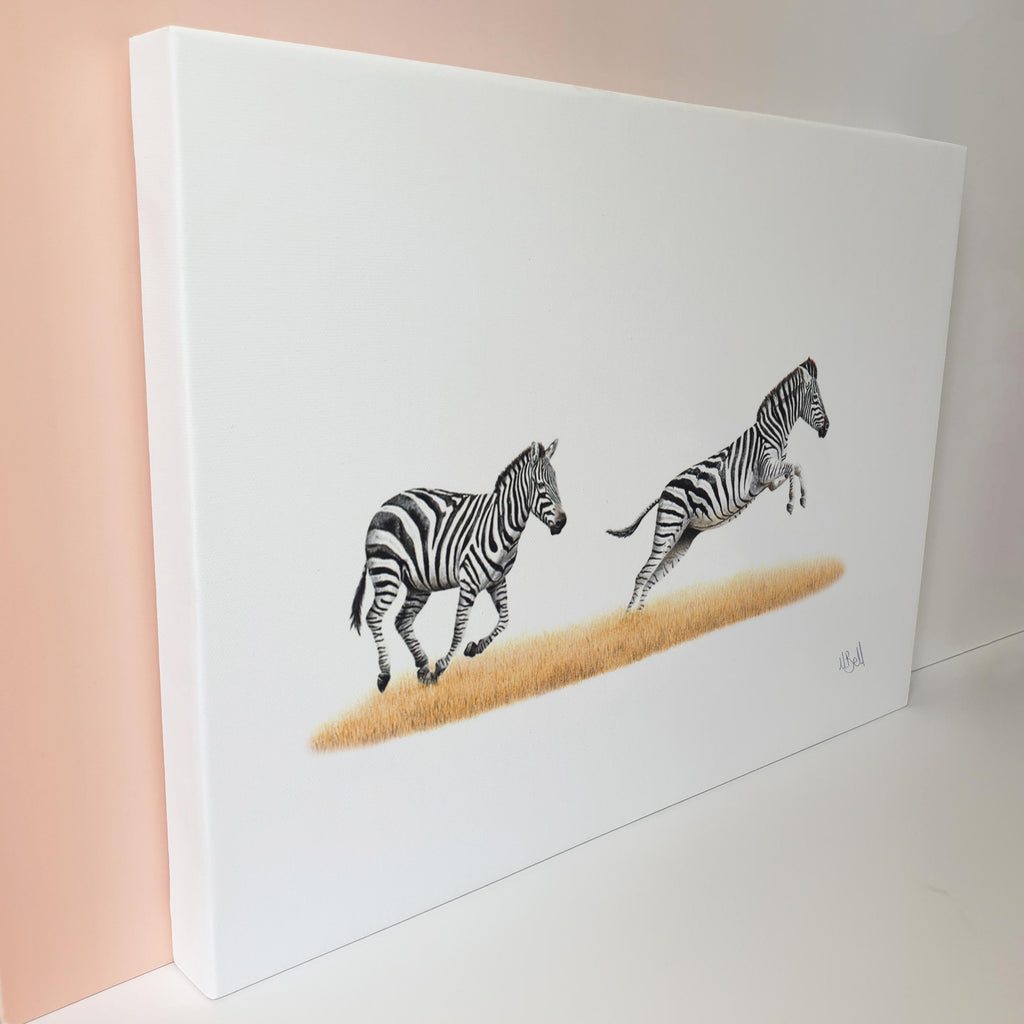 Two zebras running canvas print artwork